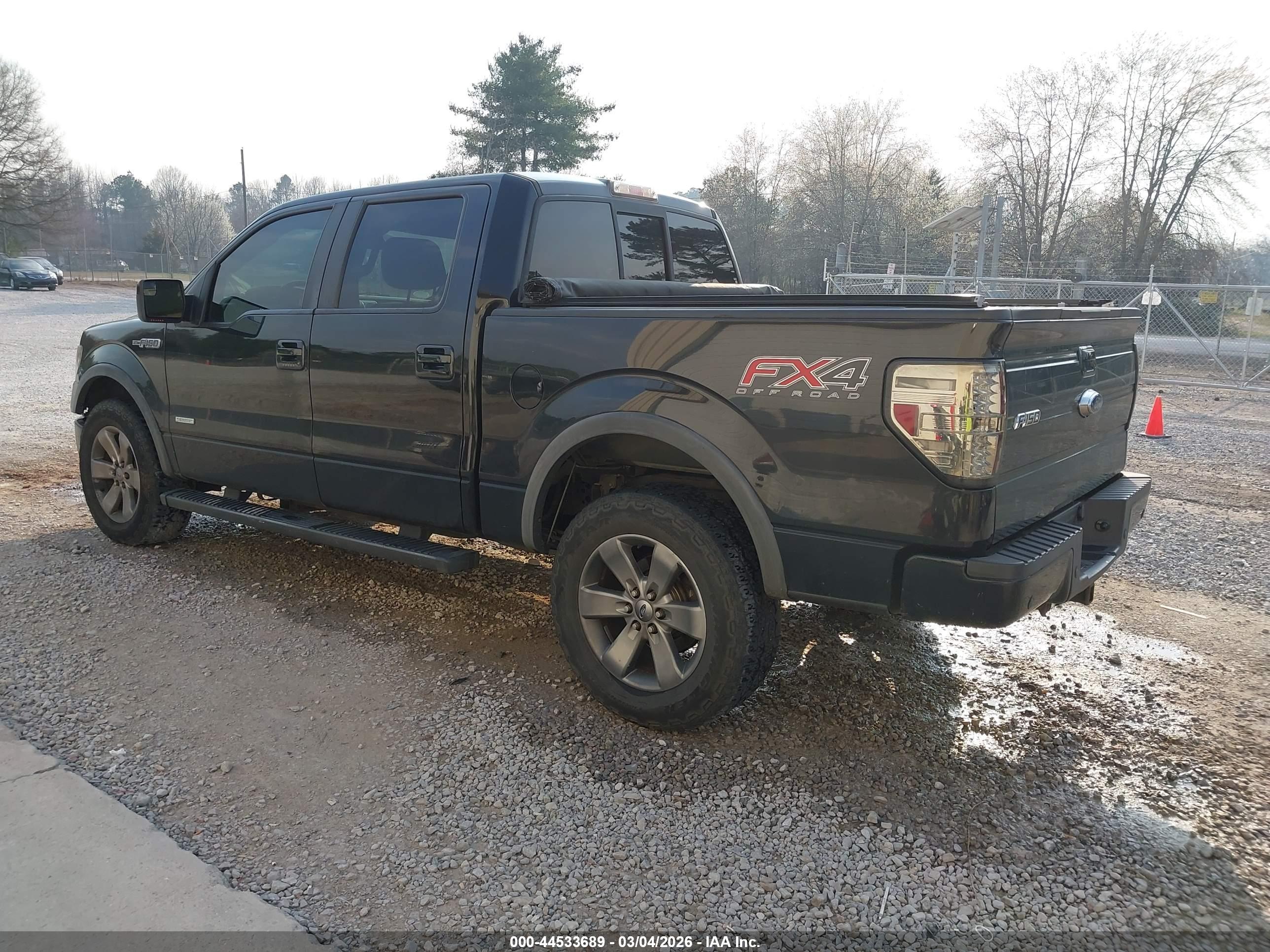 FORD F-150 image 3