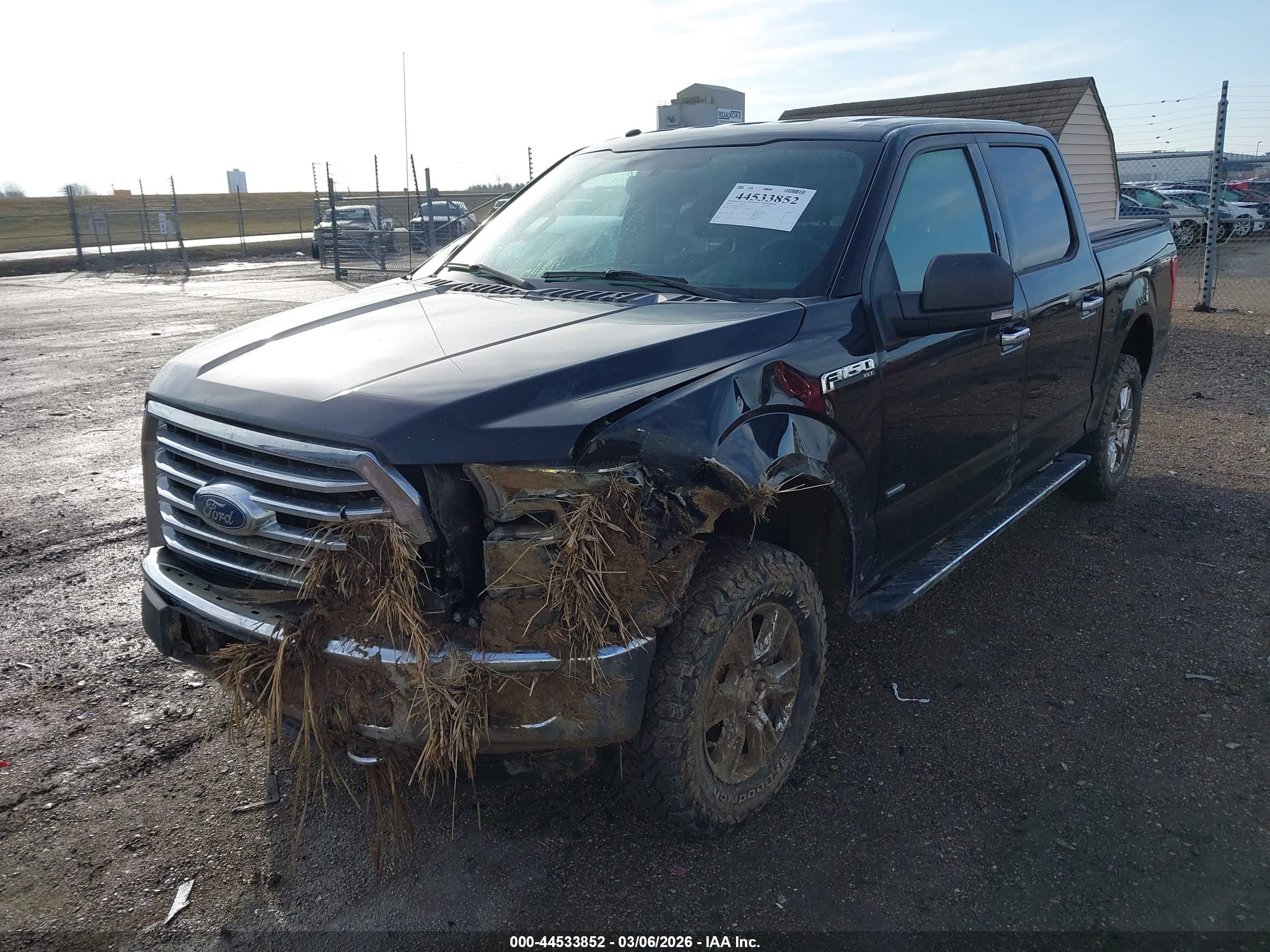 FORD F-150 image 2