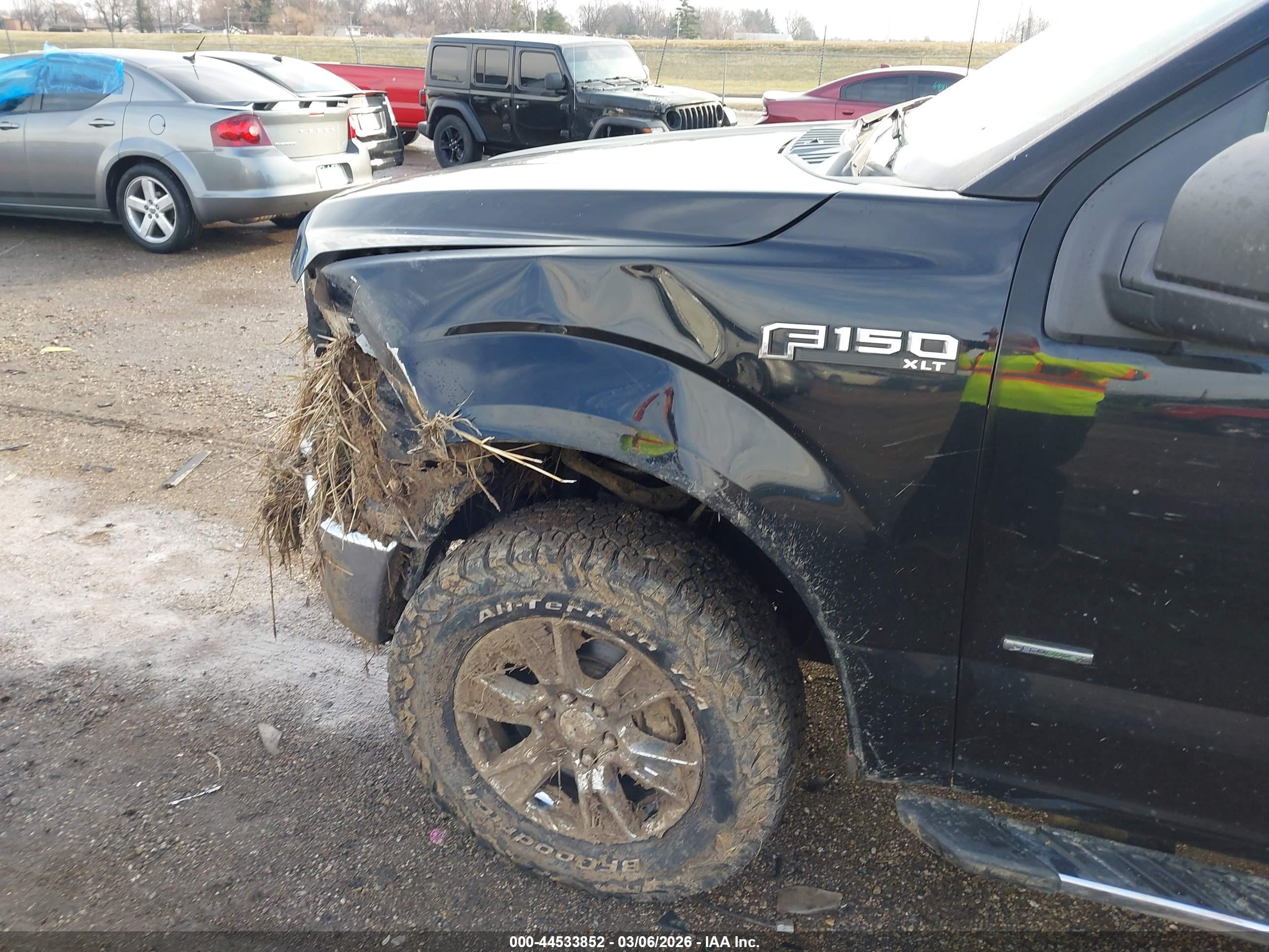 FORD F-150 image 6