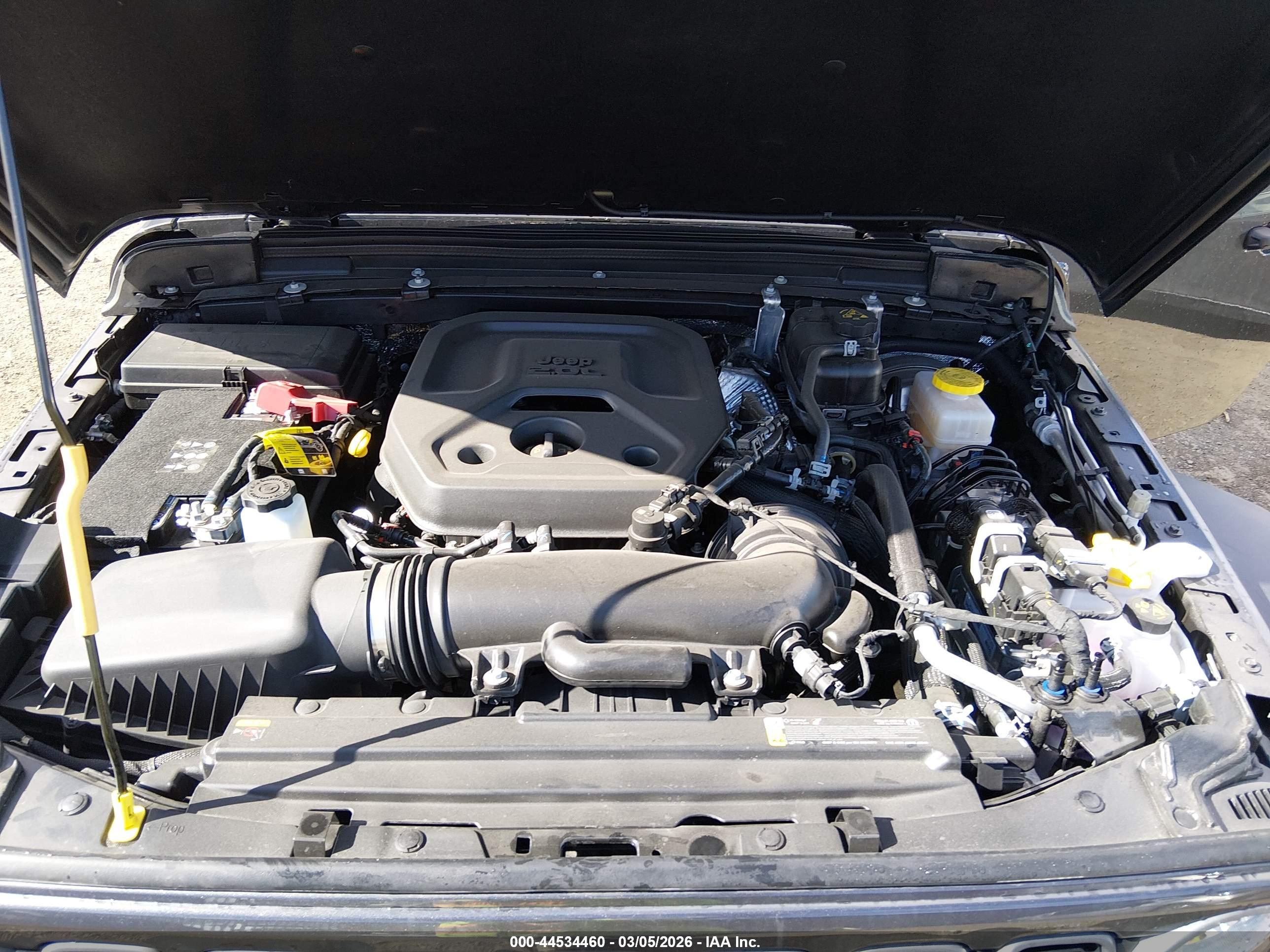 JEEP WRANGLER image 10