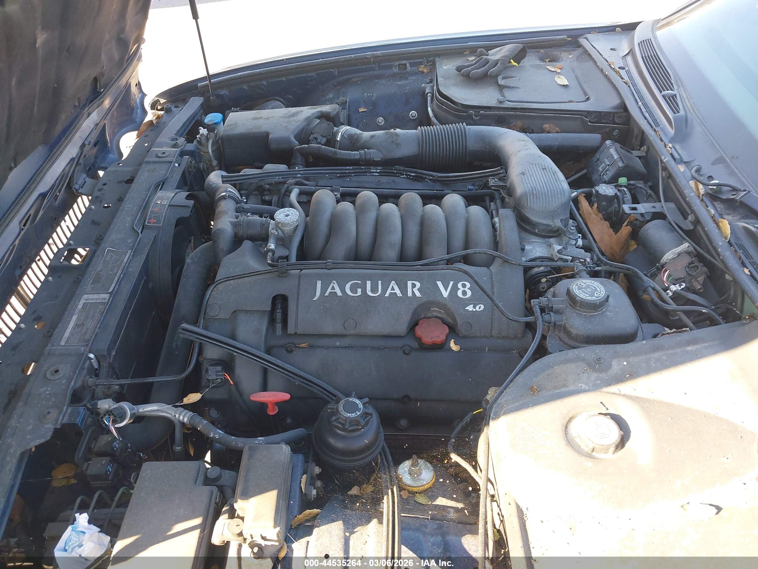 JAGUAR XJ8 image 10