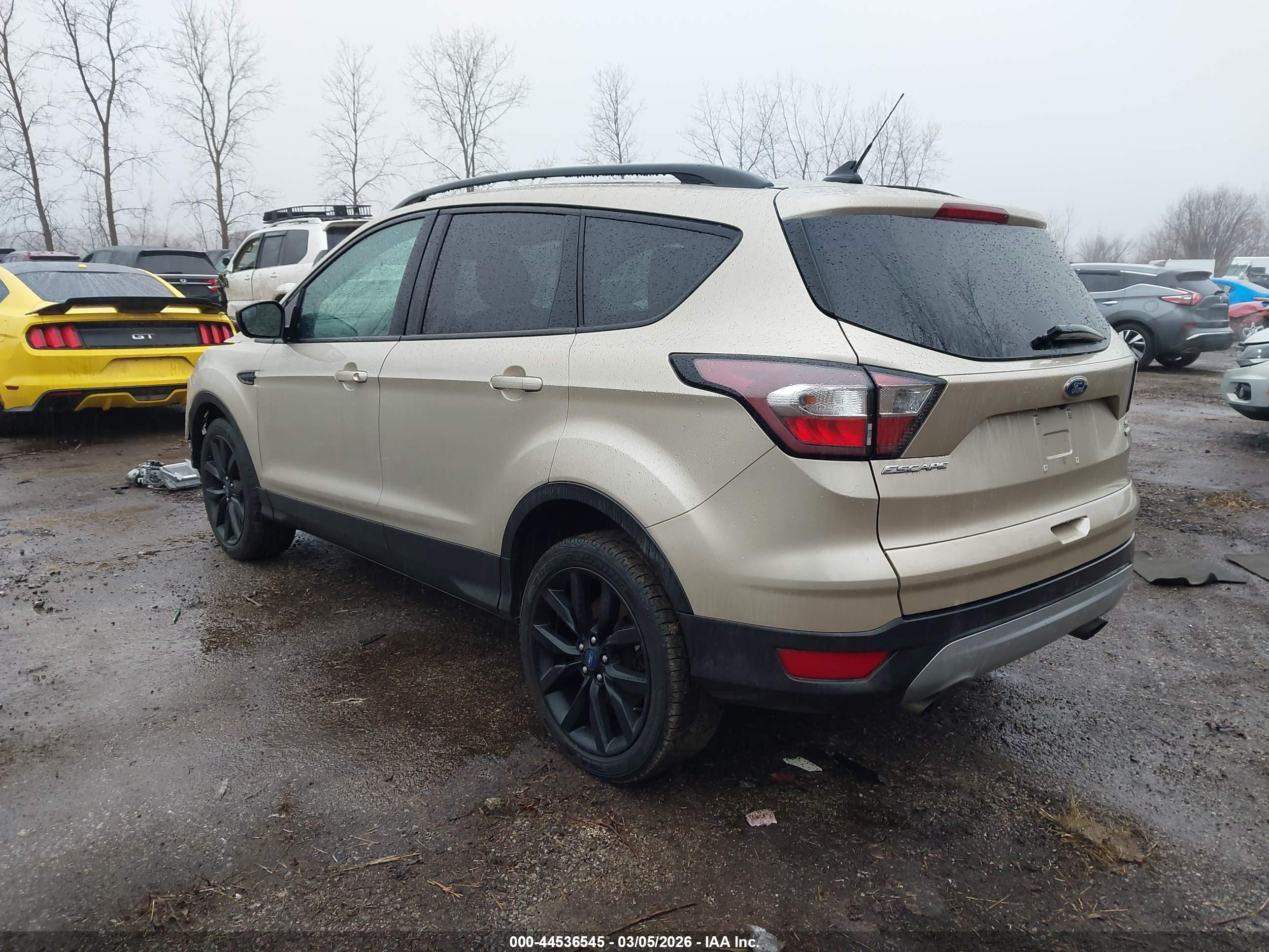 FORD ESCAPE image 3