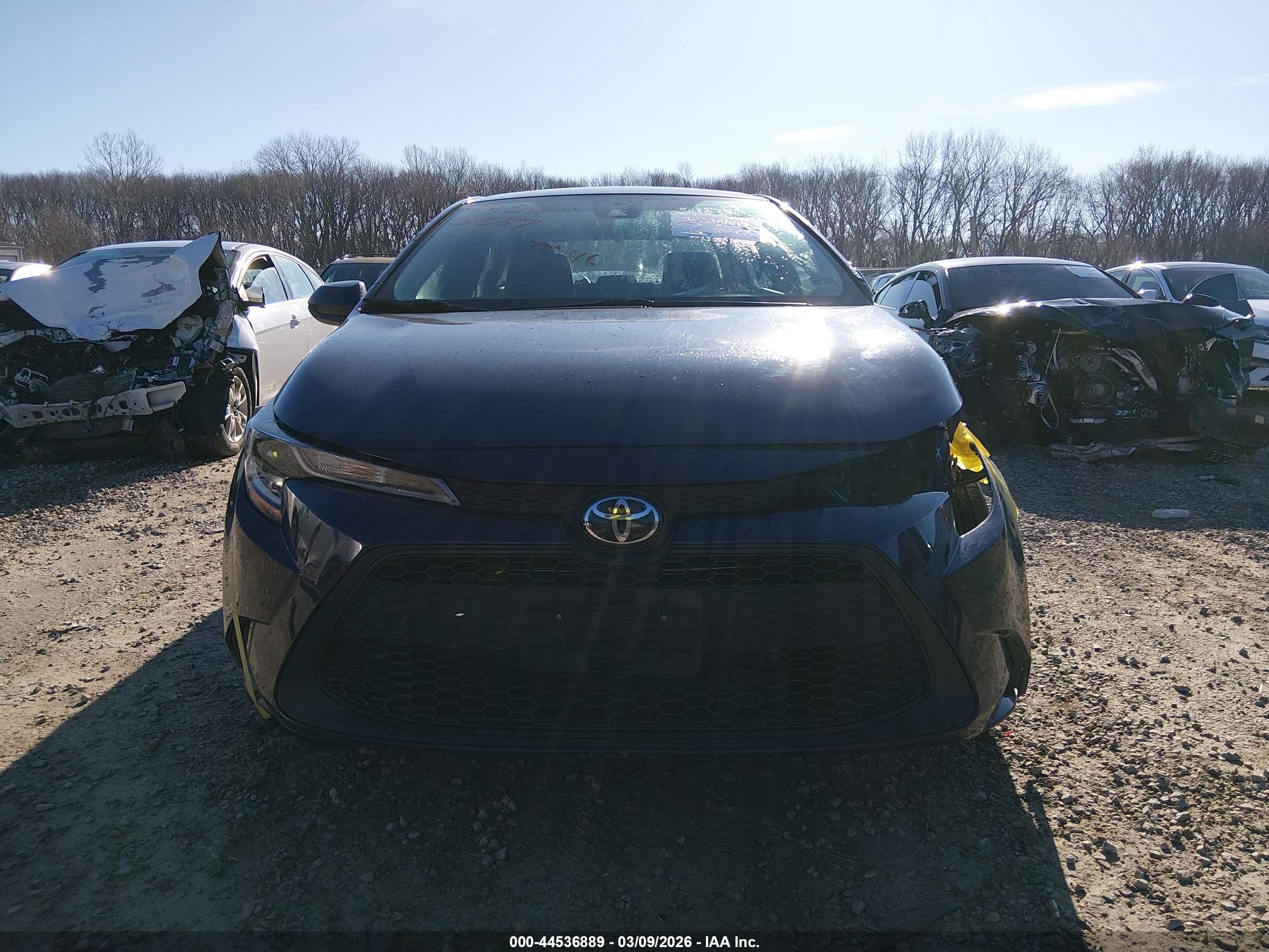 TOYOTA COROLLA image 6