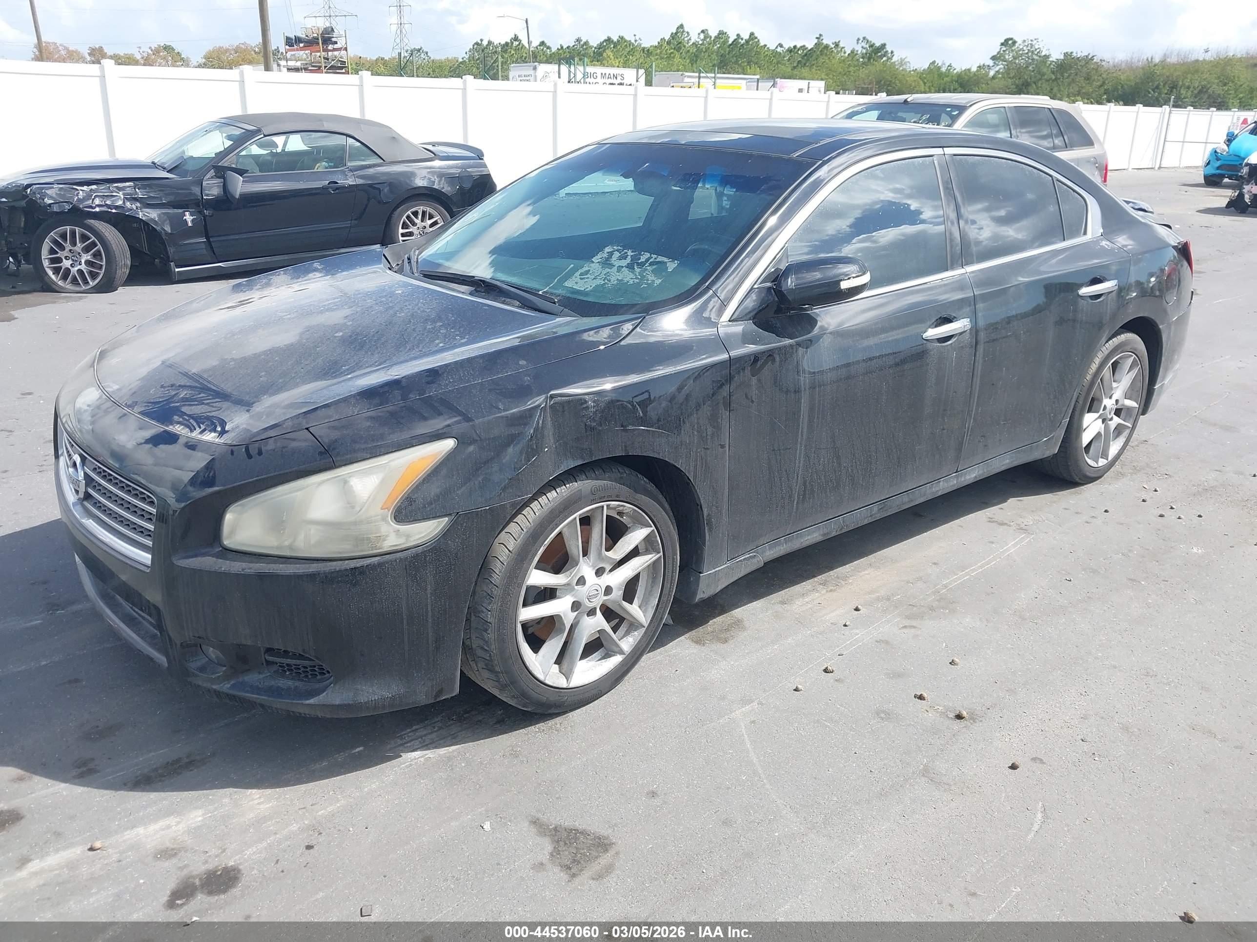NISSAN MAXIMA image 2