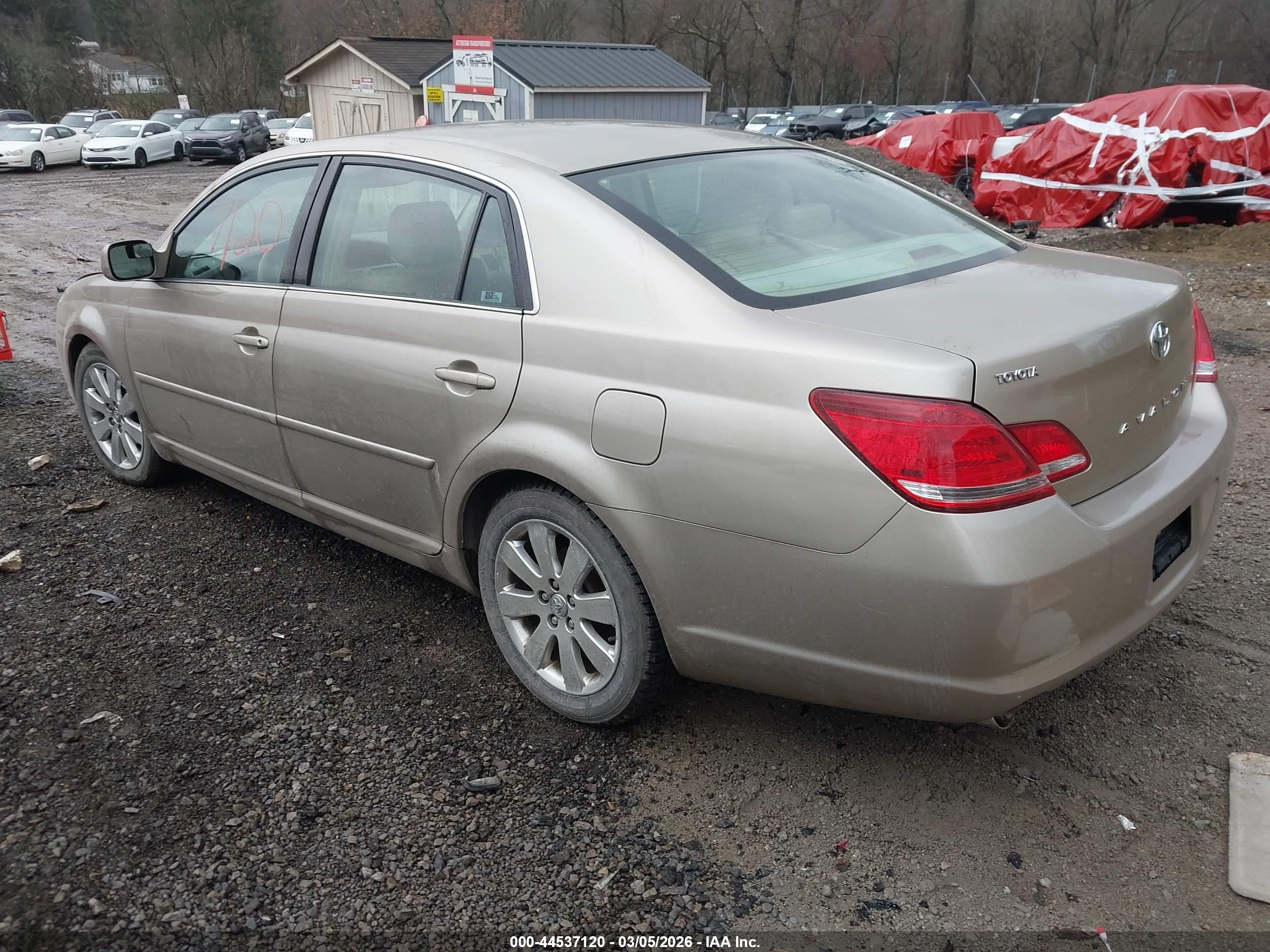 TOYOTA AVALON image 3