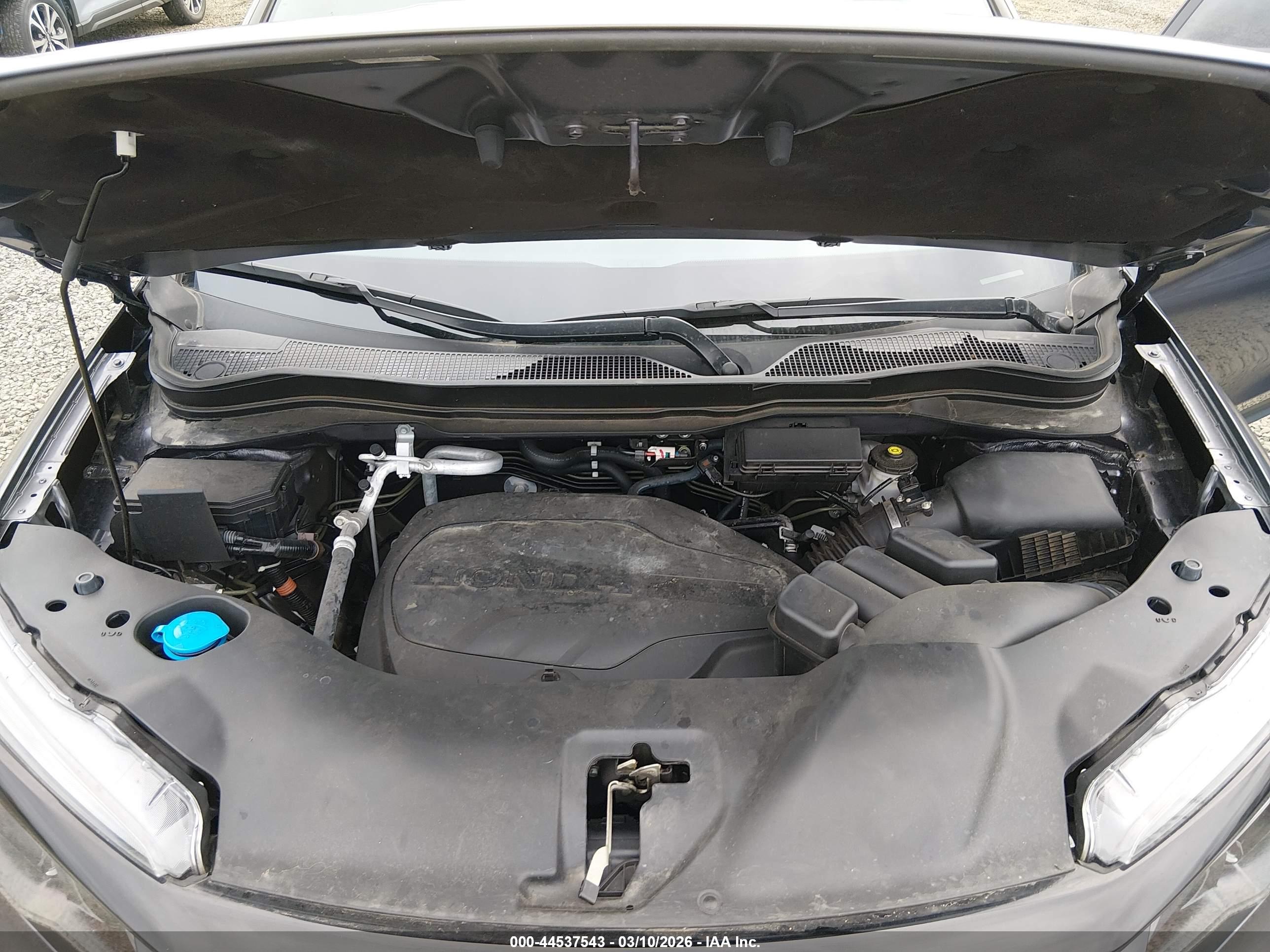 HONDA PASSPORT image 10