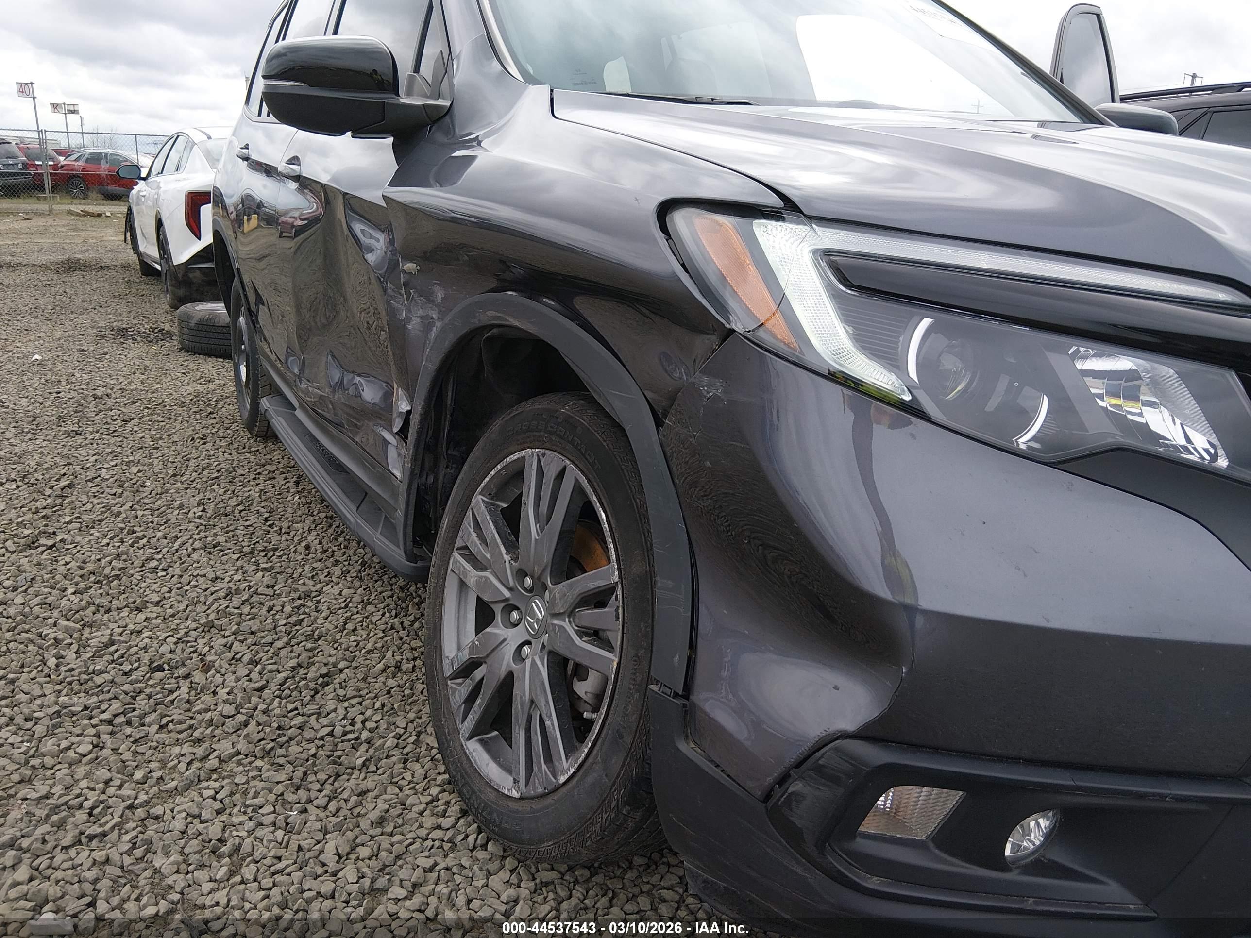 HONDA PASSPORT image 6