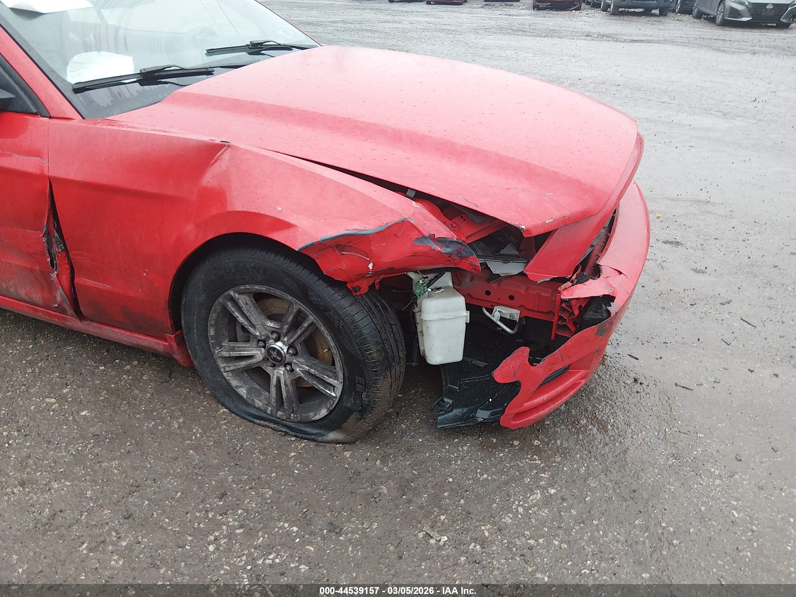 FORD MUSTANG image 6