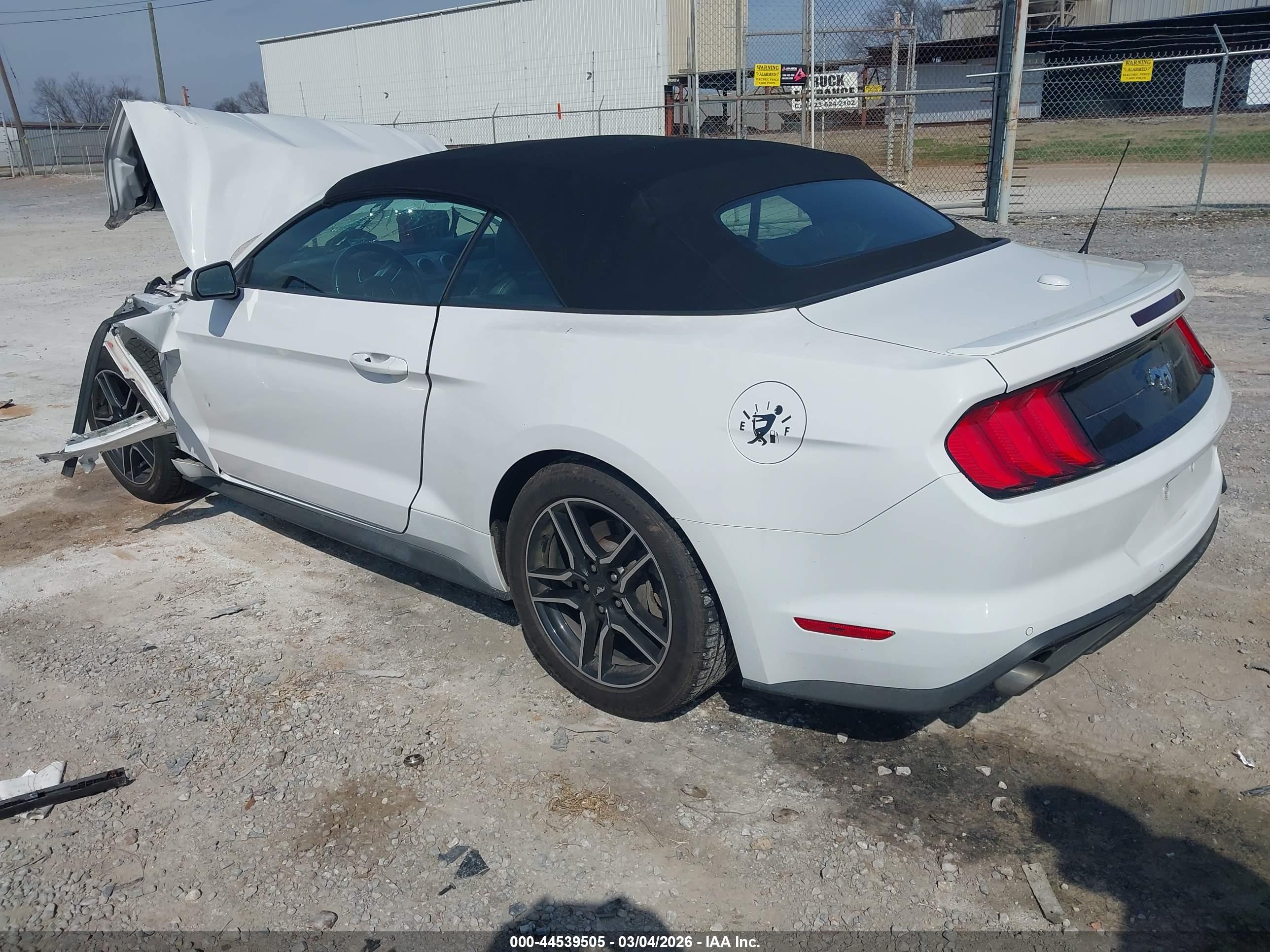 FORD MUSTANG image 3