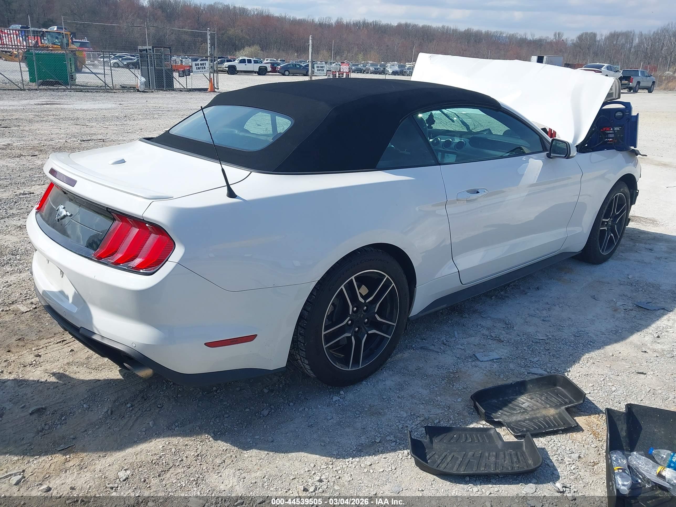 FORD MUSTANG image 4