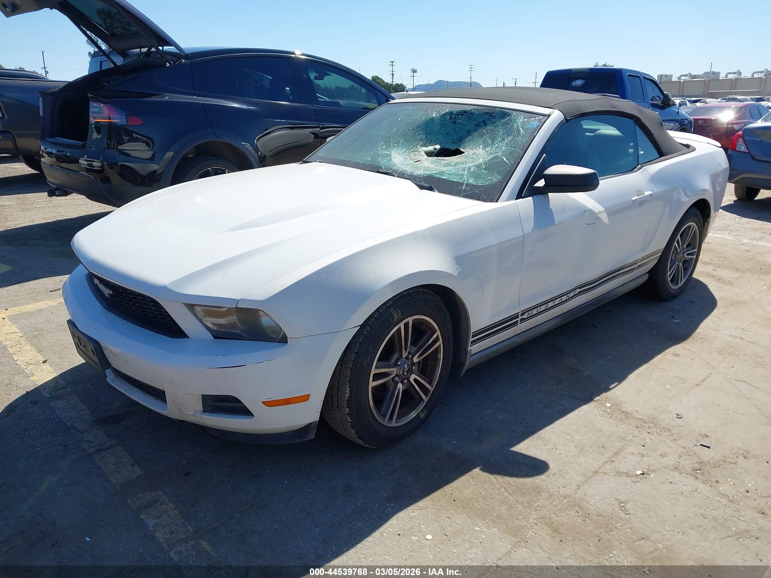 FORD MUSTANG image 2