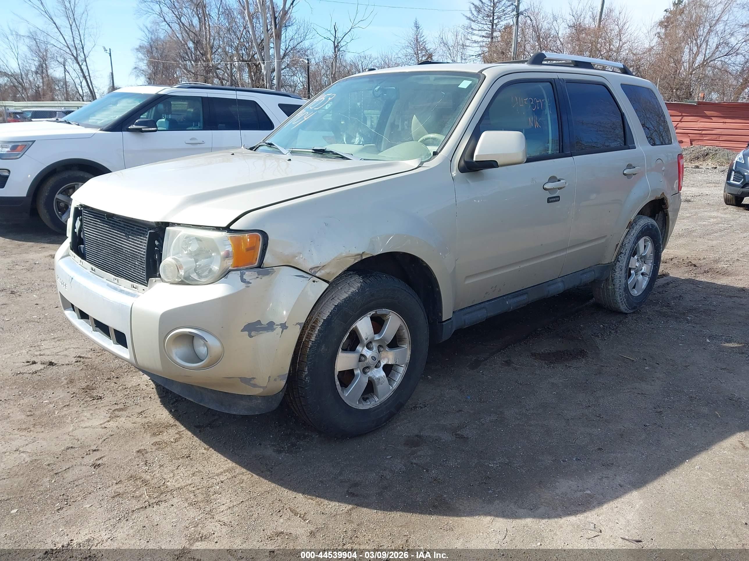 FORD ESCAPE image 2