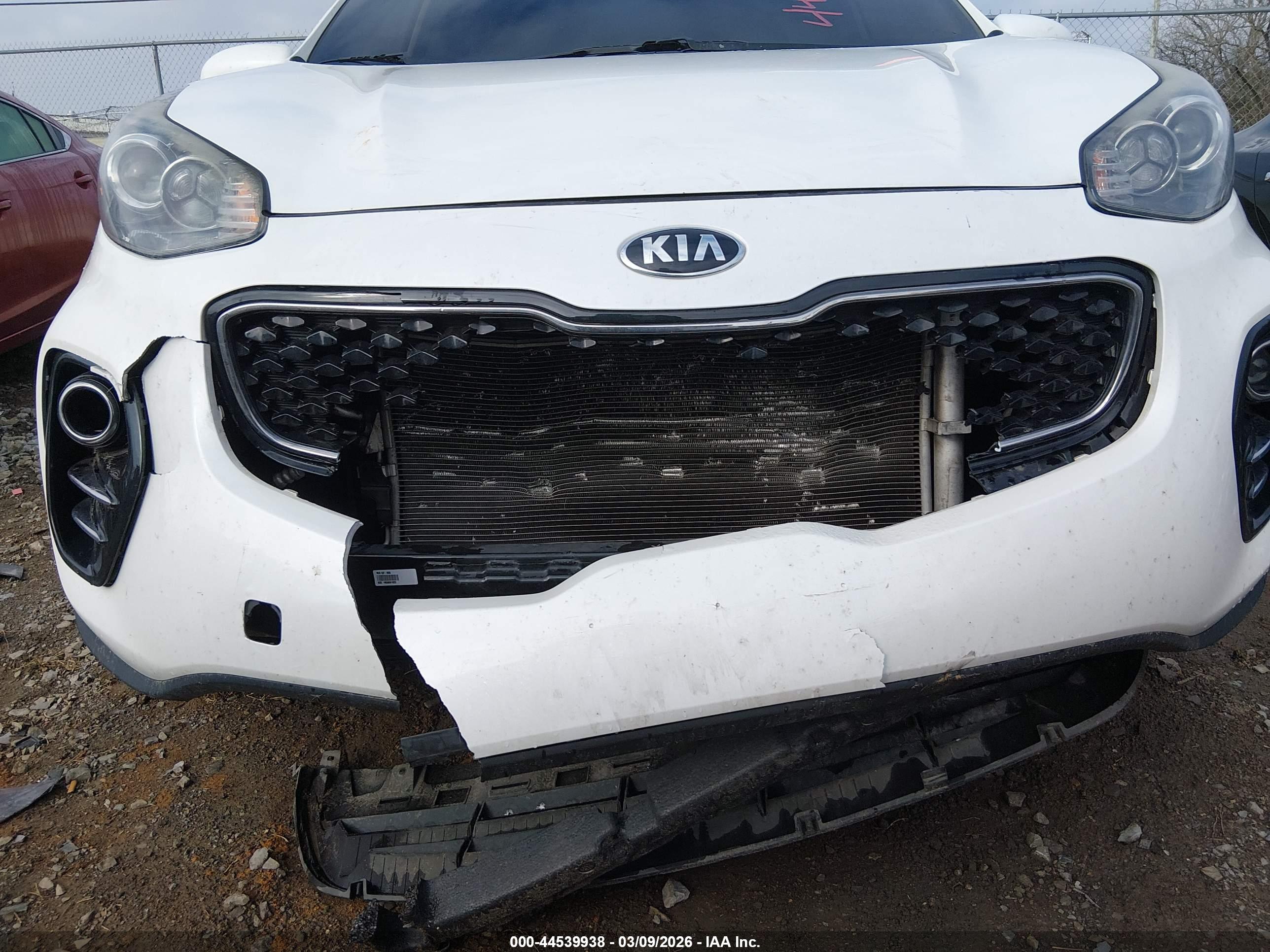 KIA SPORTAGE image 6
