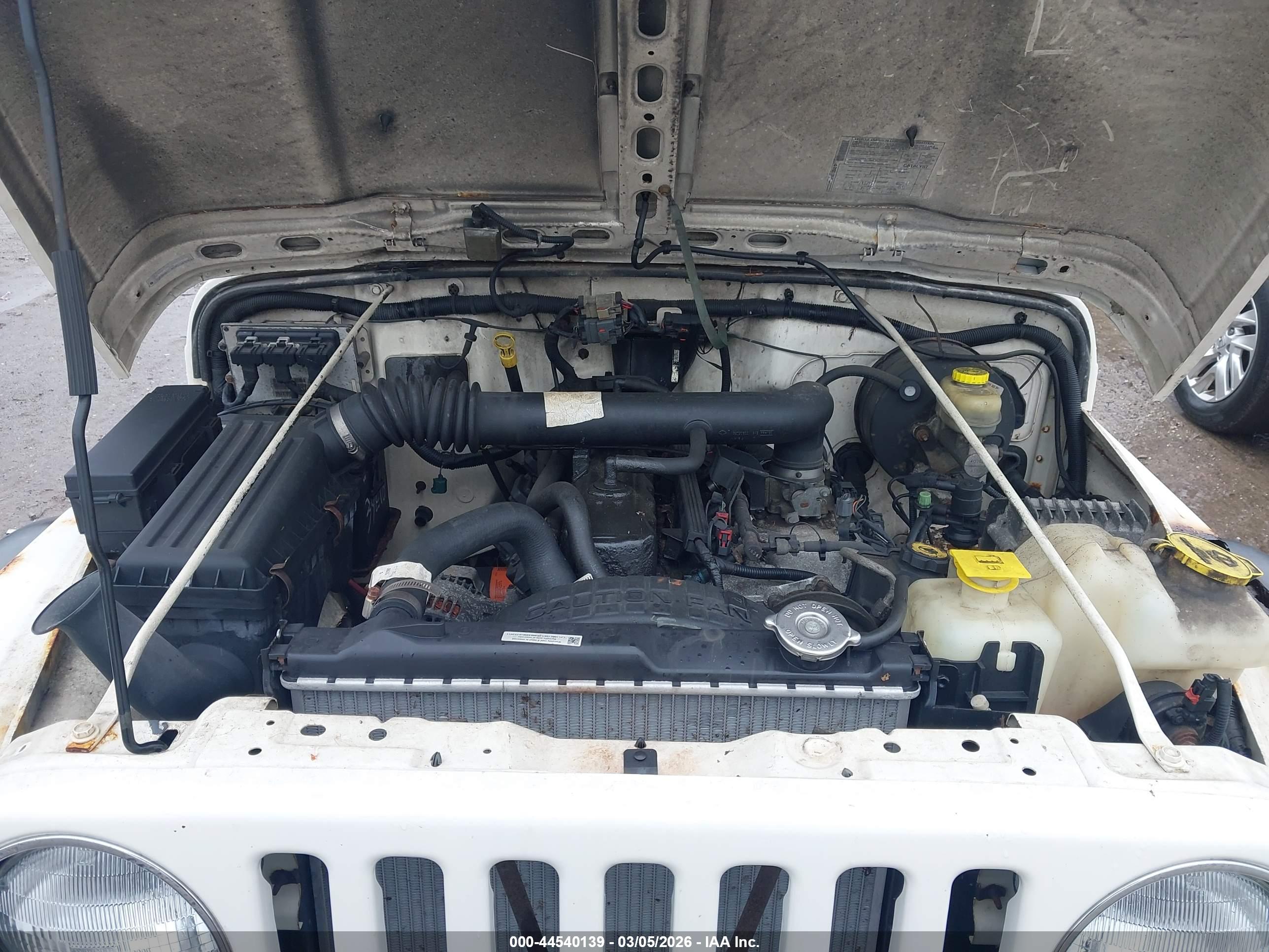 JEEP WRANGLER image 10