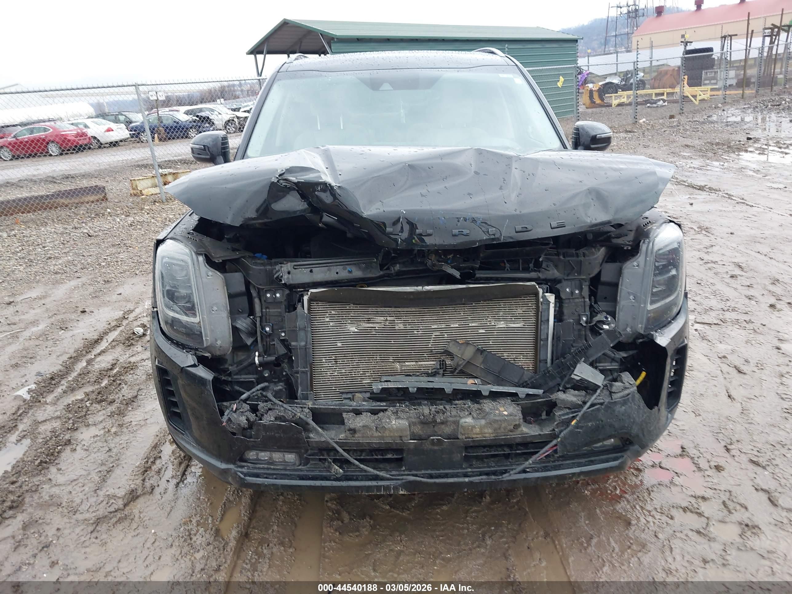 KIA TELLURIDE image 6
