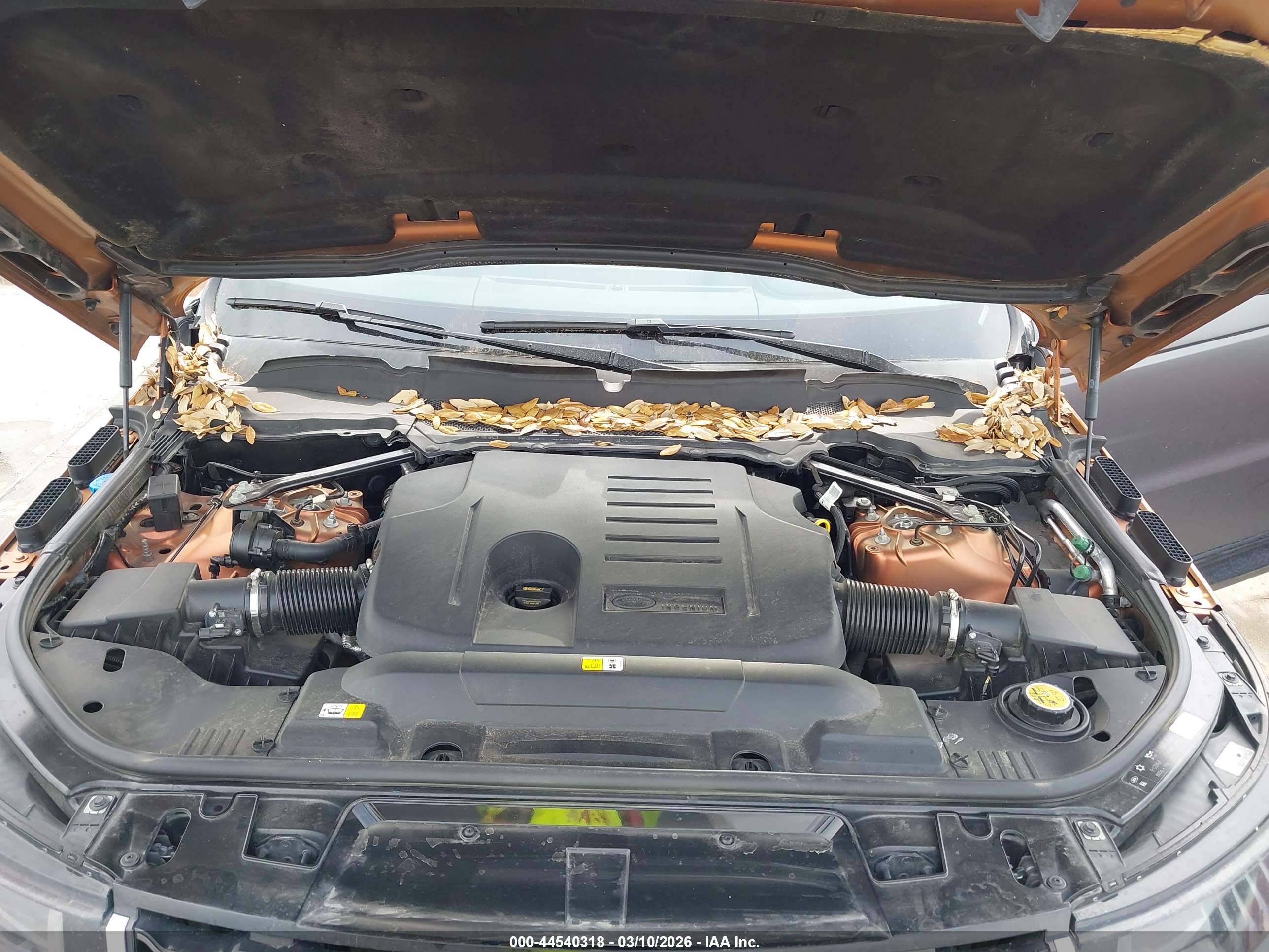 LAND ROVER image 10