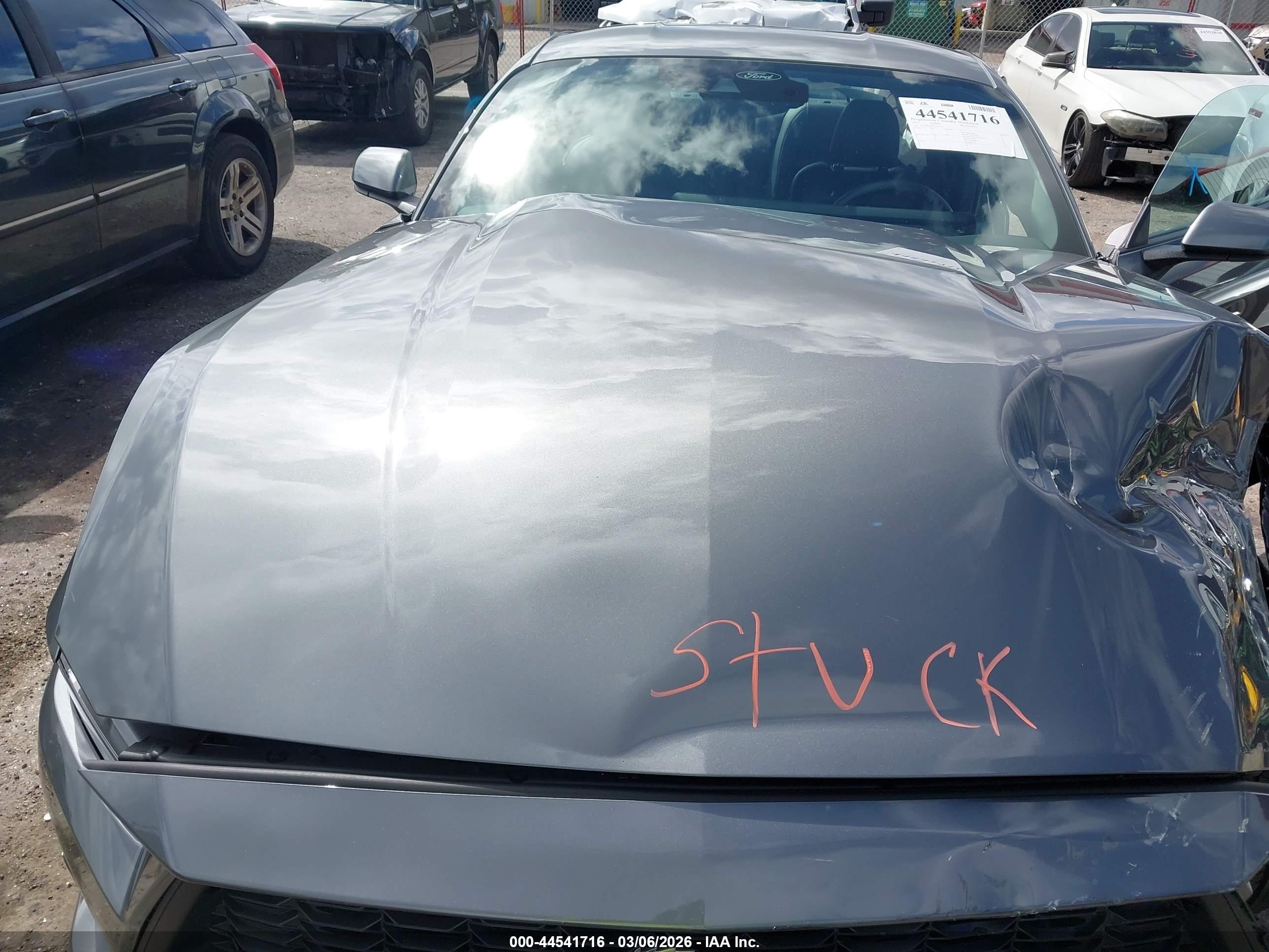 FORD MUSTANG image 10