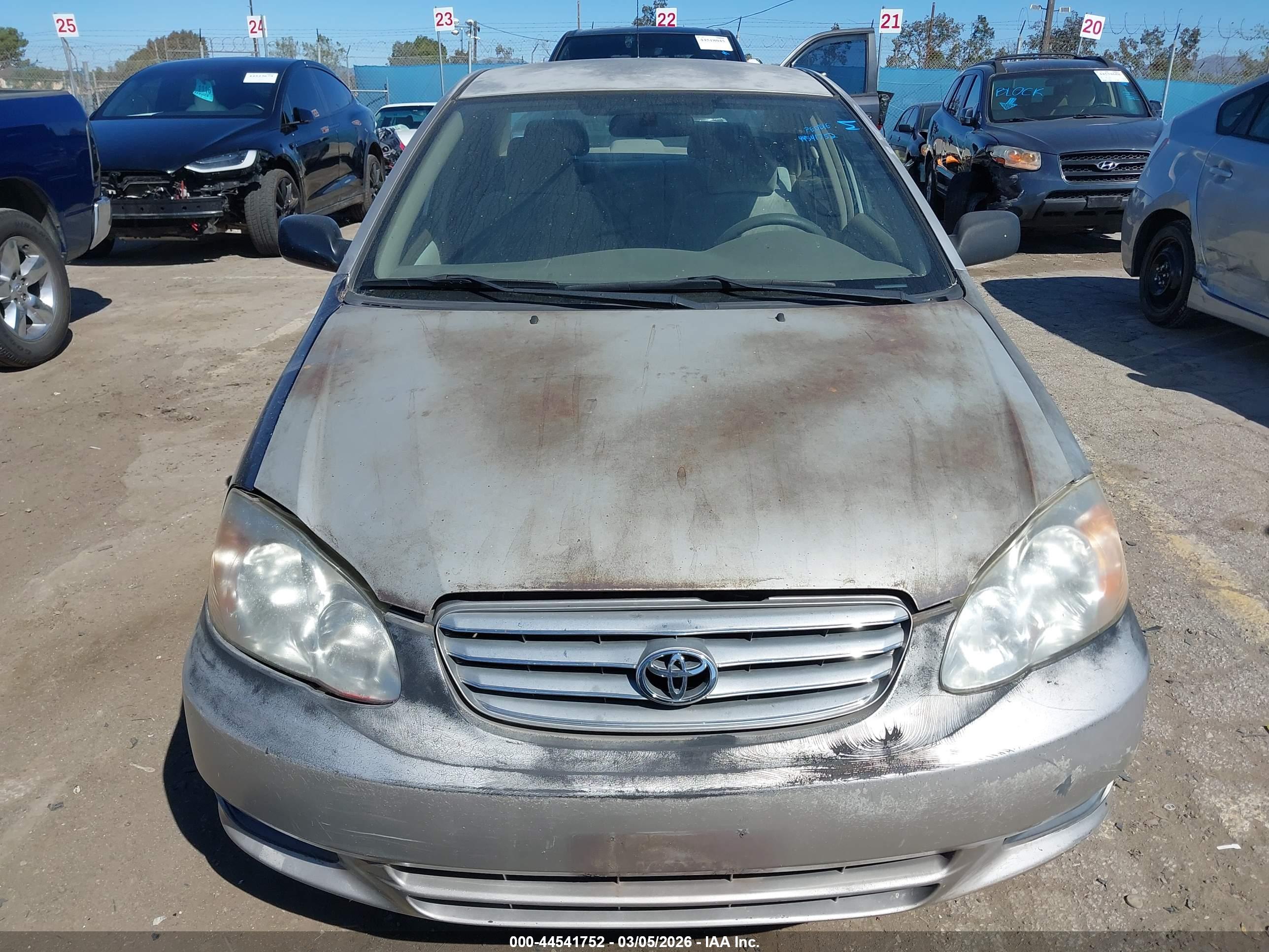 TOYOTA COROLLA image 6