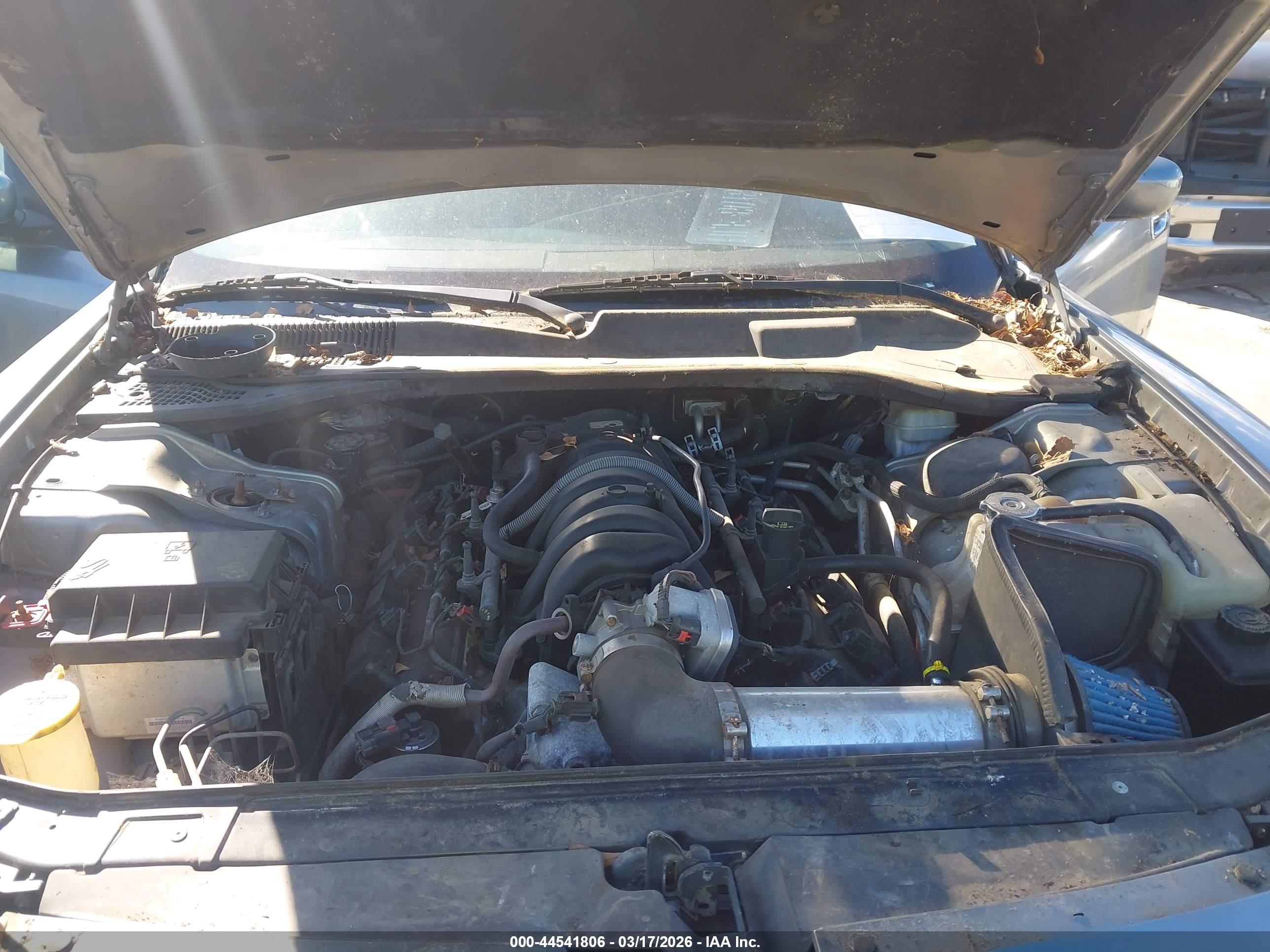 DODGE CHARGER image 10