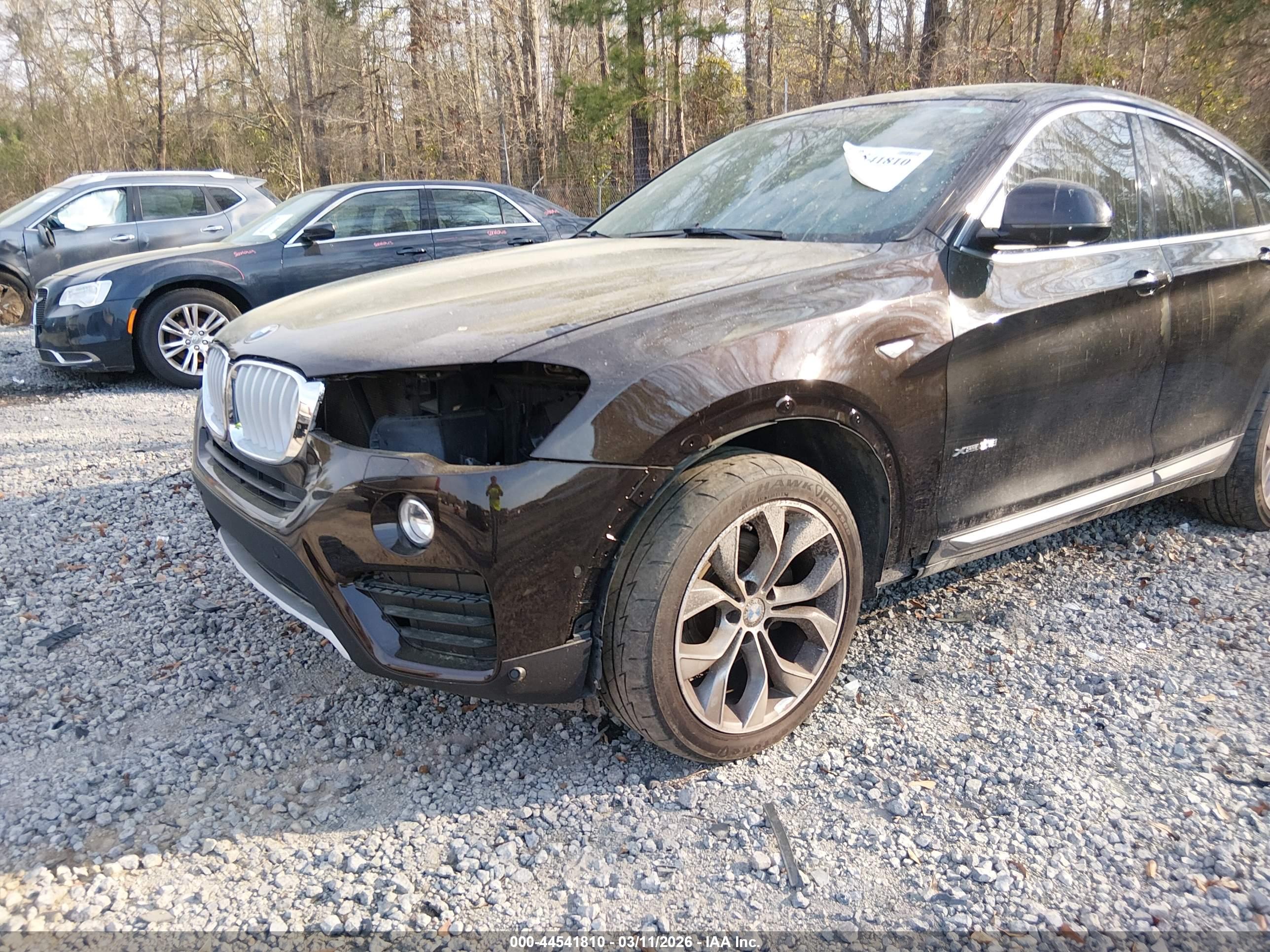 BMW X4 image 6