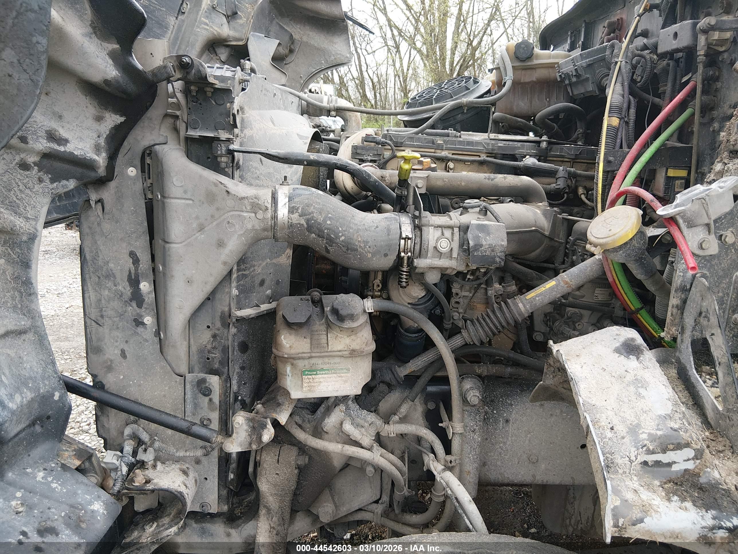 WESTERN STAR/AUTO image 10