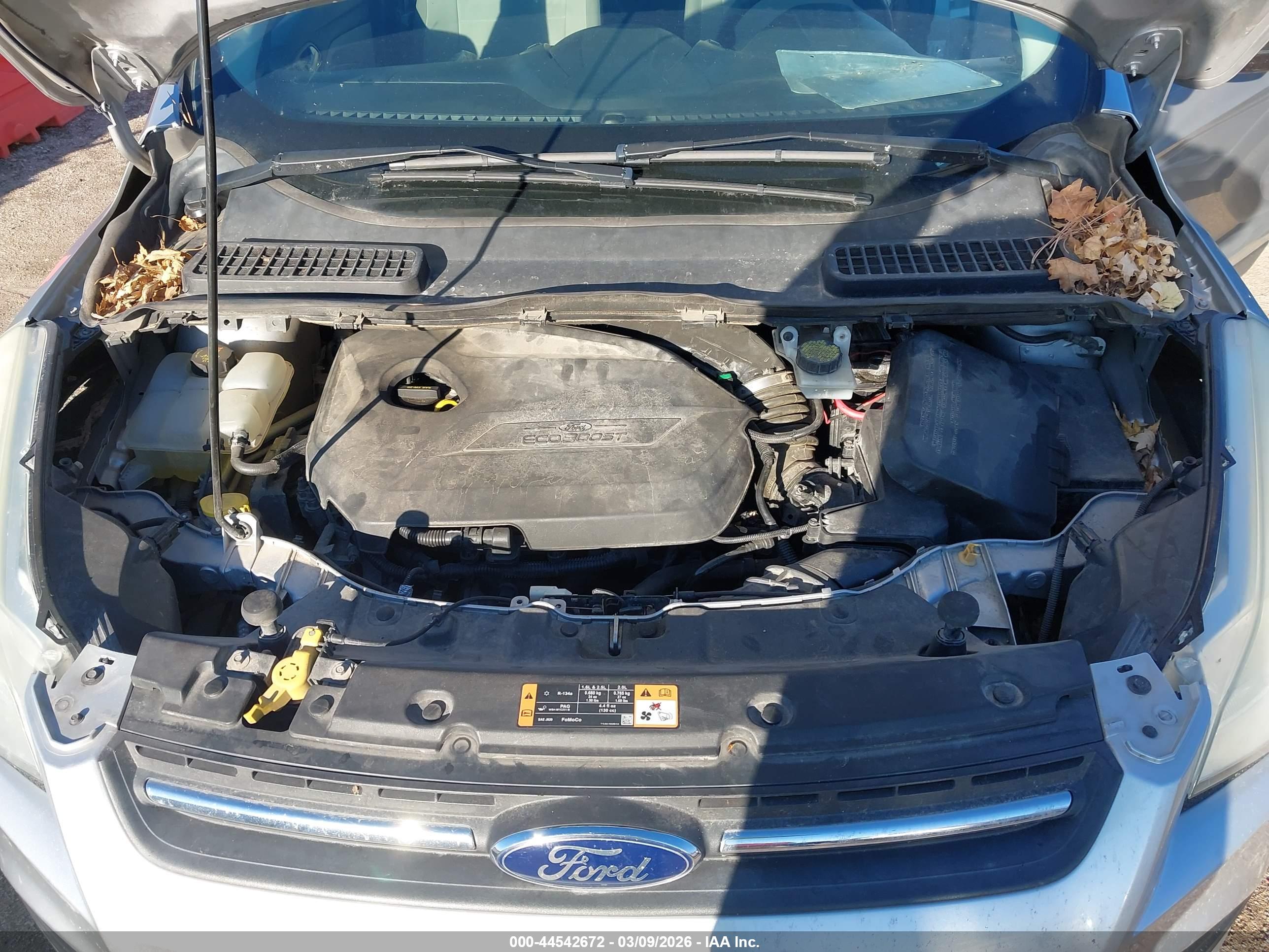 FORD ESCAPE image 10
