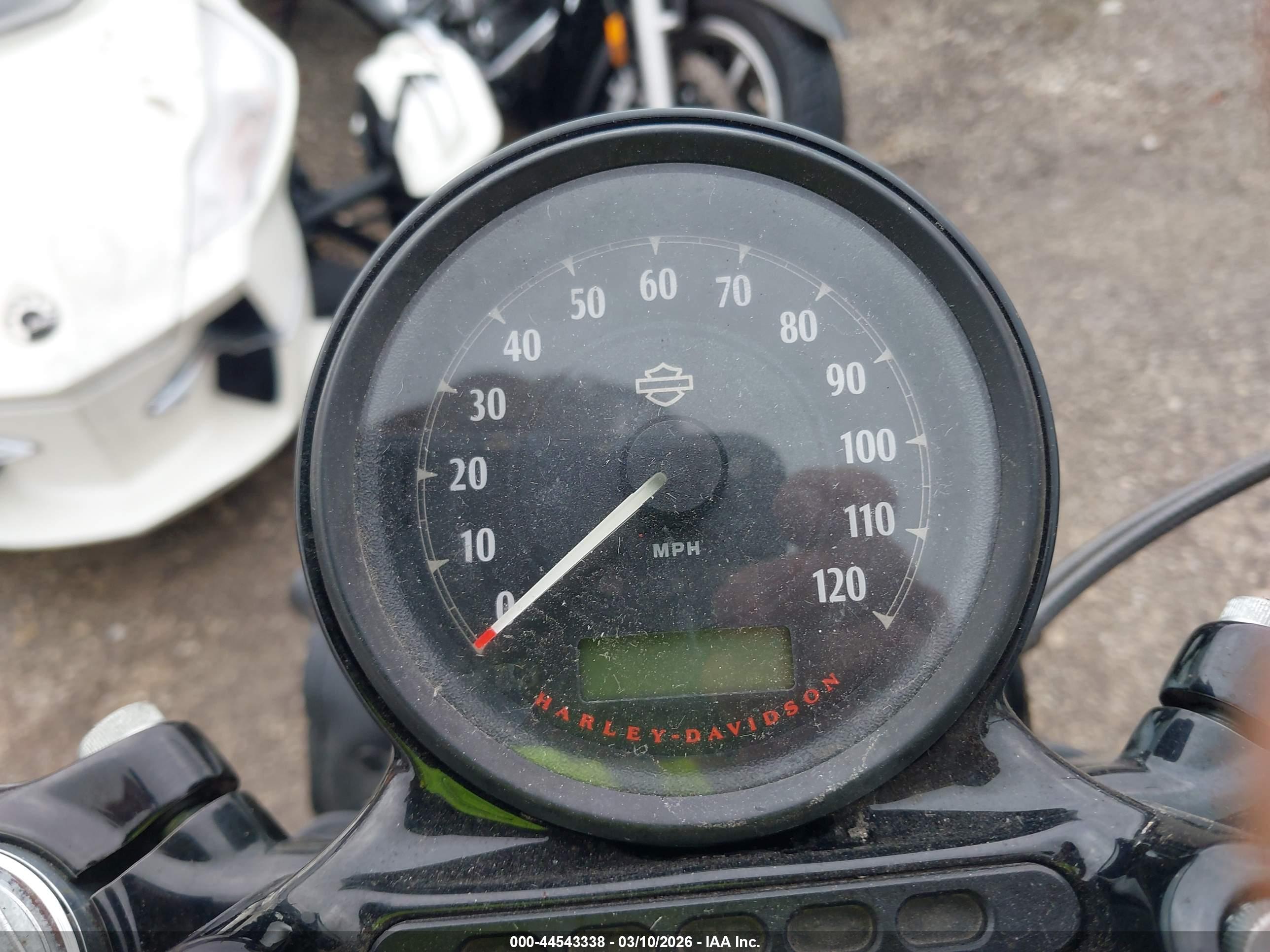 HARLEY-DAVIDSON XL1200 image 7