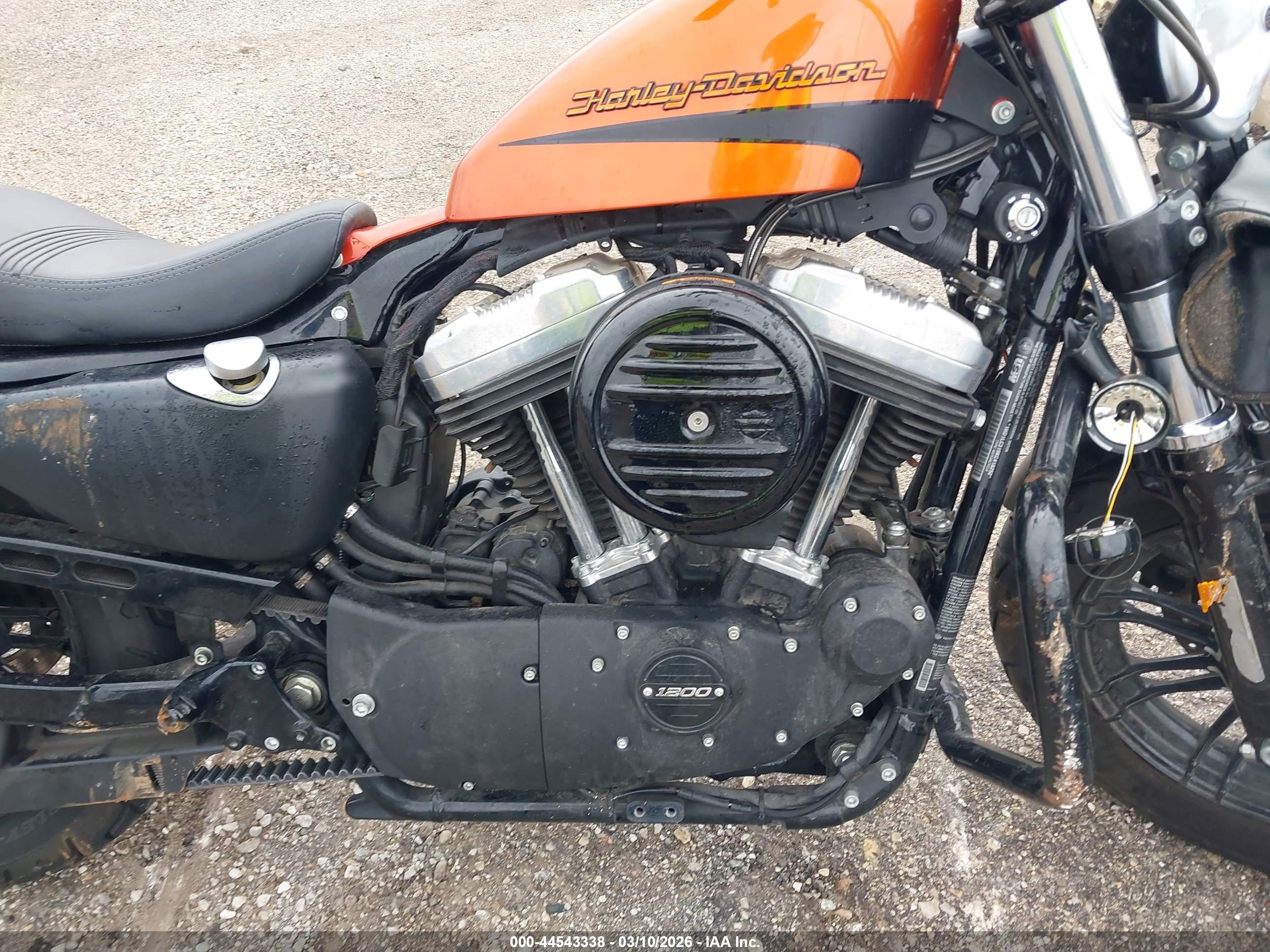HARLEY-DAVIDSON XL1200 image 8