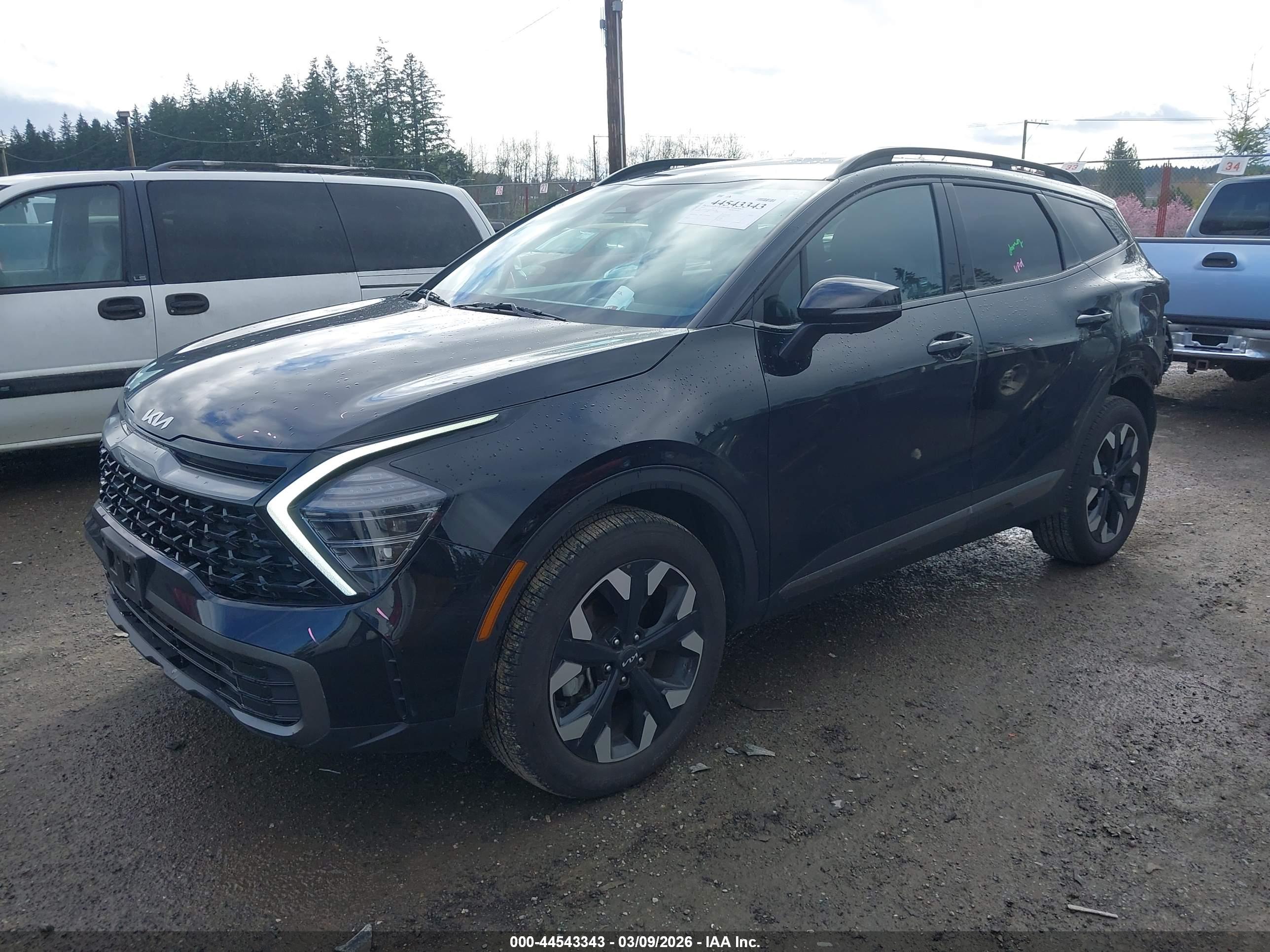 KIA SPORTAGE image 2