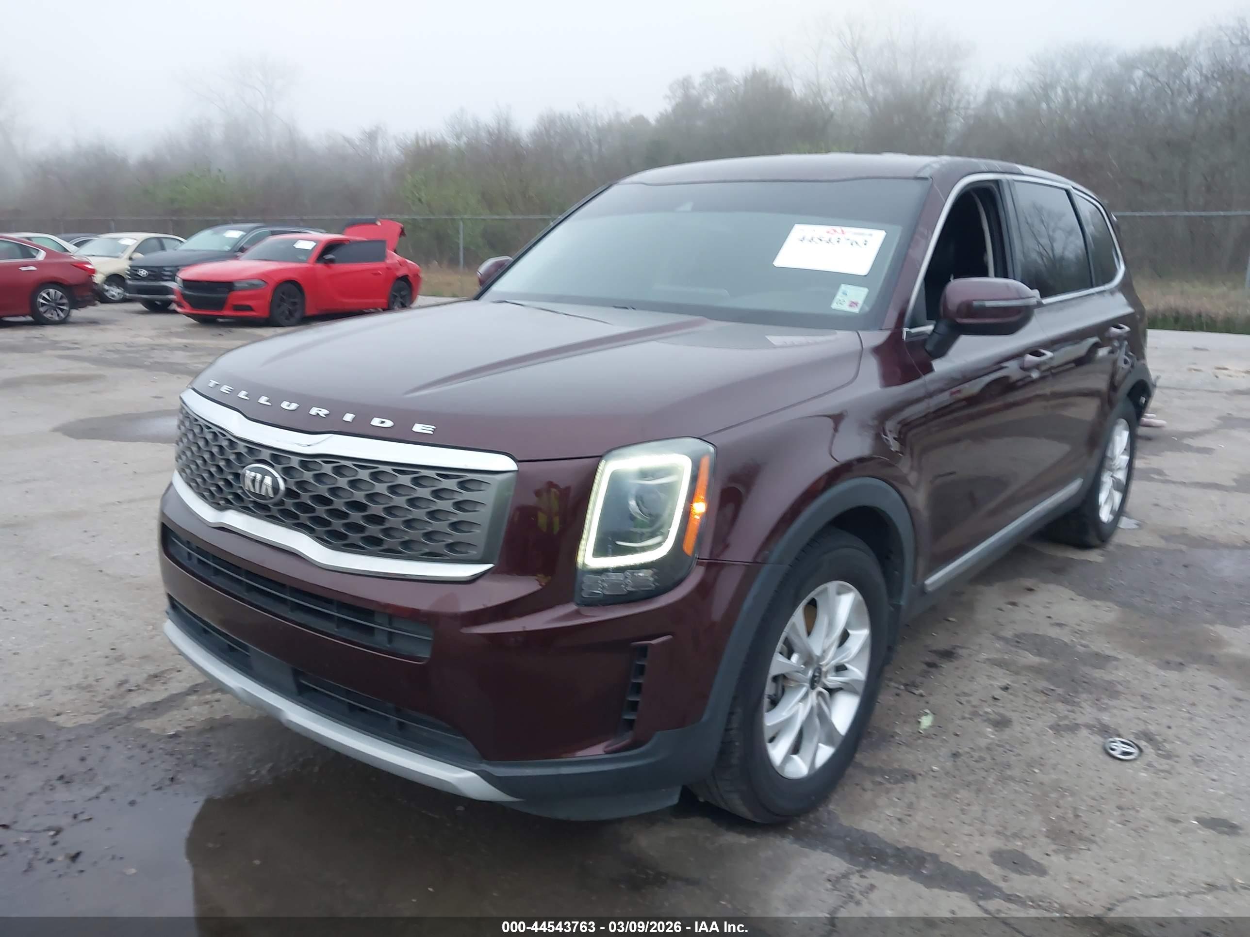 KIA TELLURIDE image 2