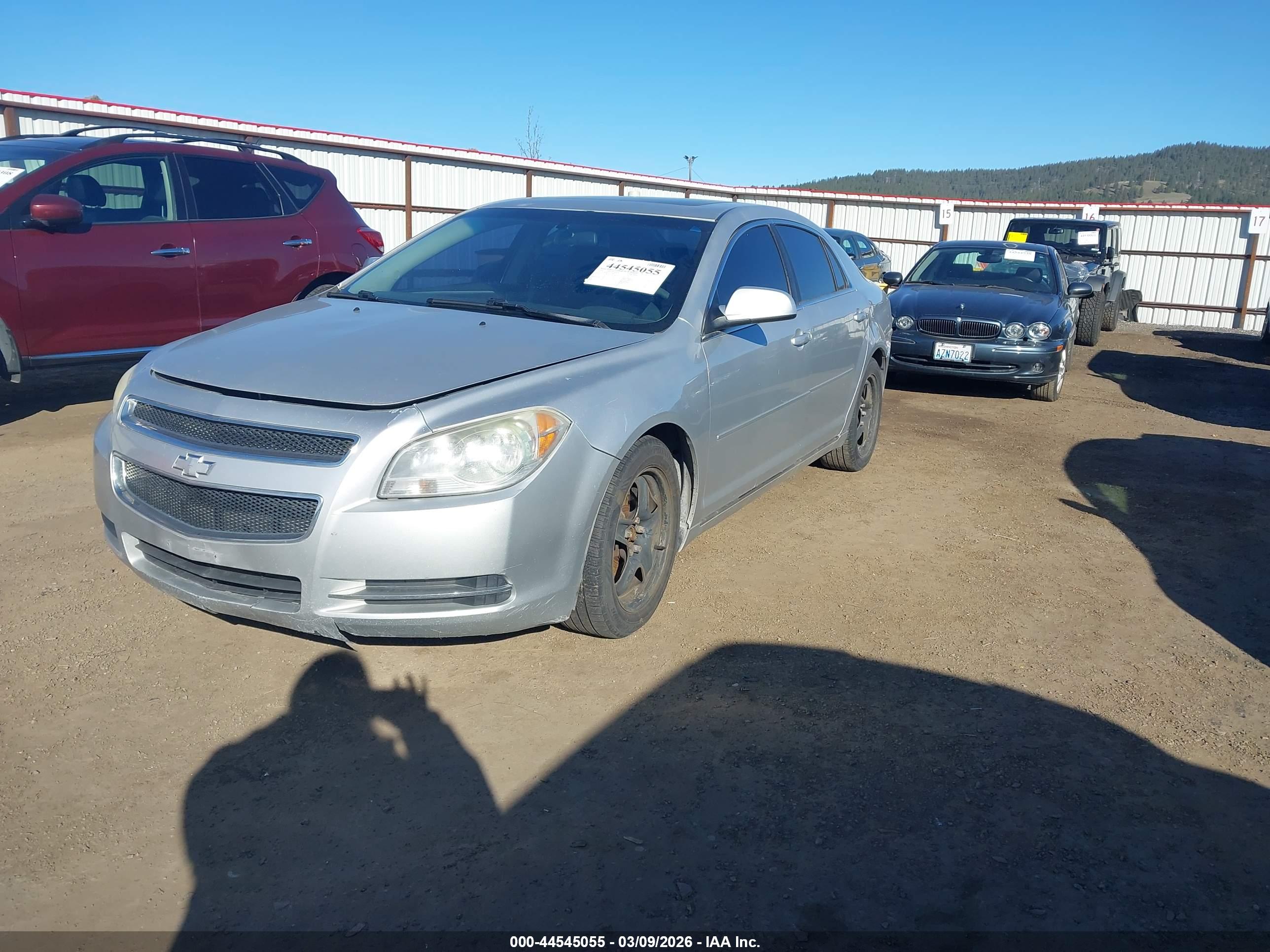 CHEVROLET MALIBU image 2