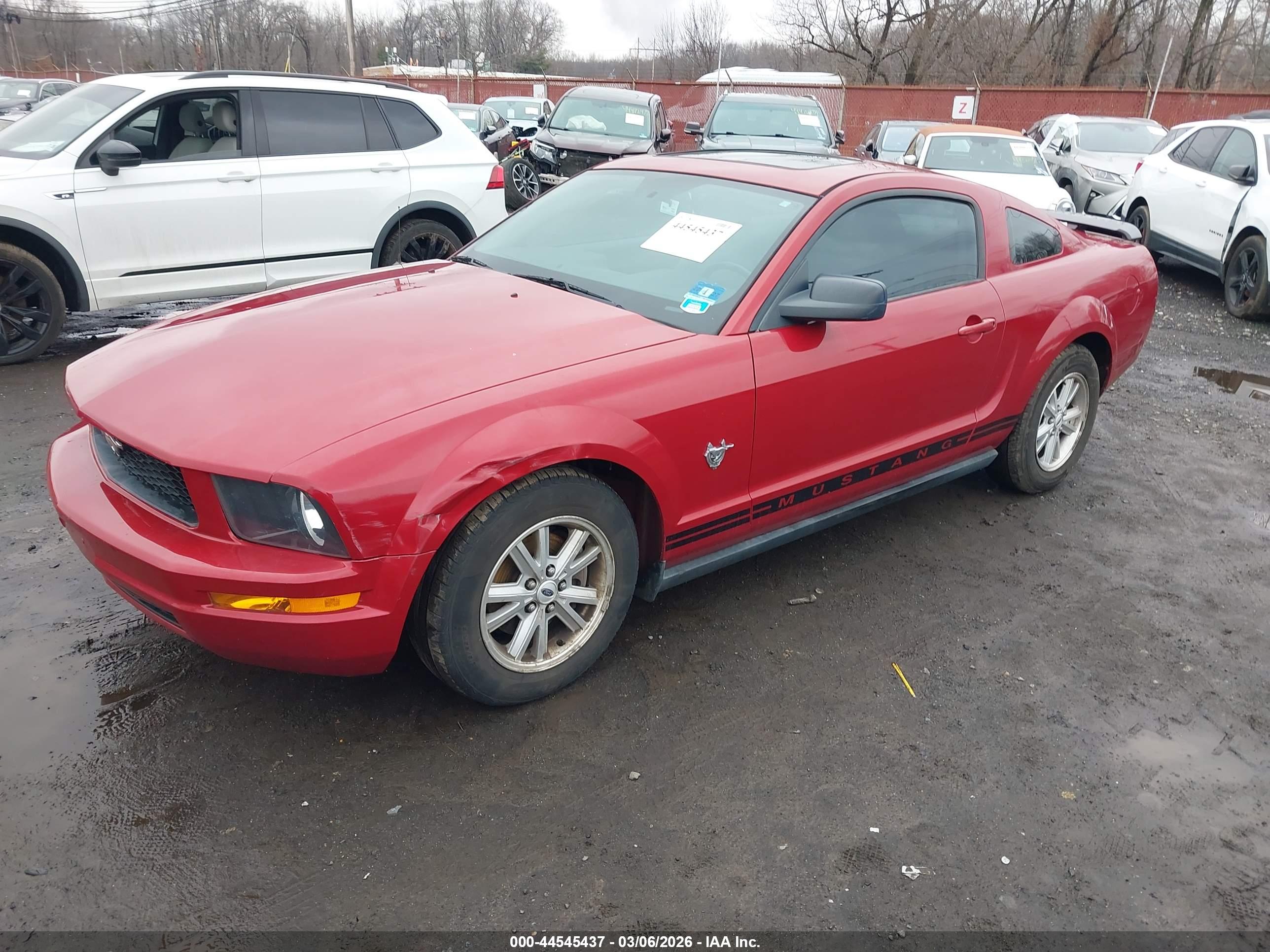 FORD MUSTANG image 2