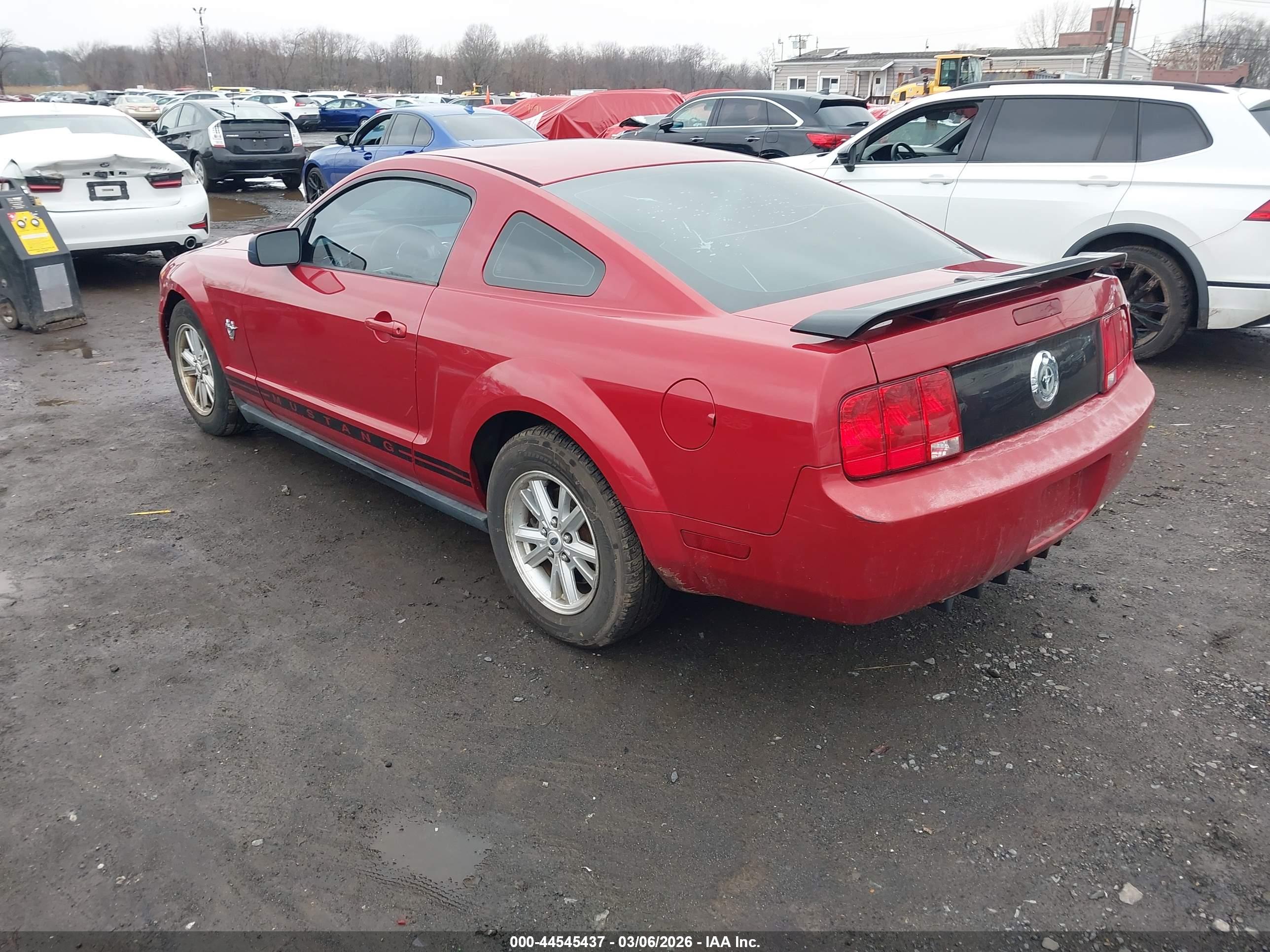 FORD MUSTANG image 3