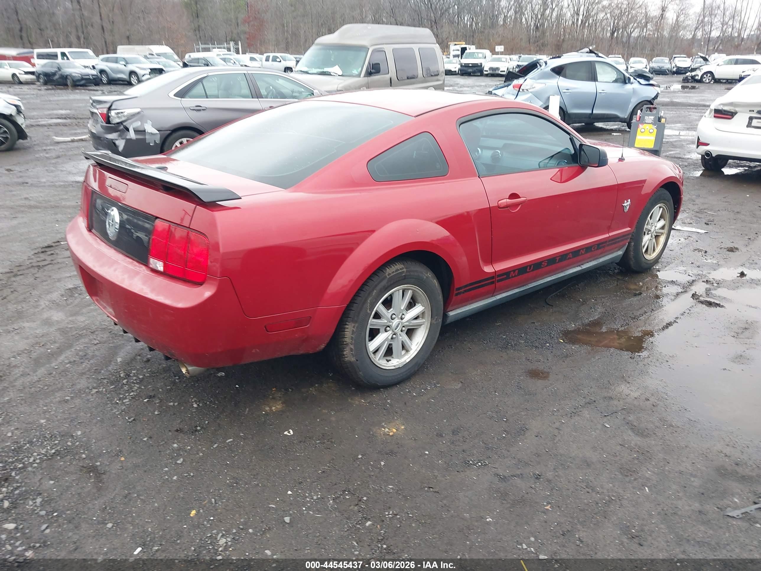 FORD MUSTANG image 4