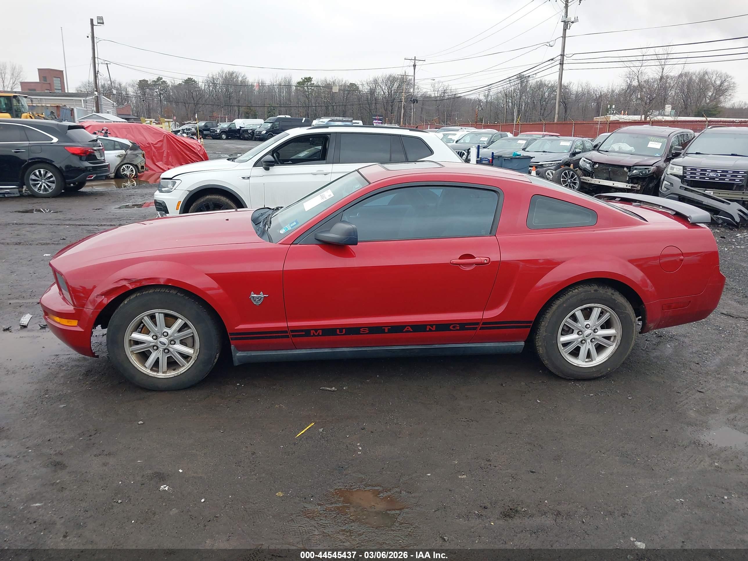 FORD MUSTANG image 6