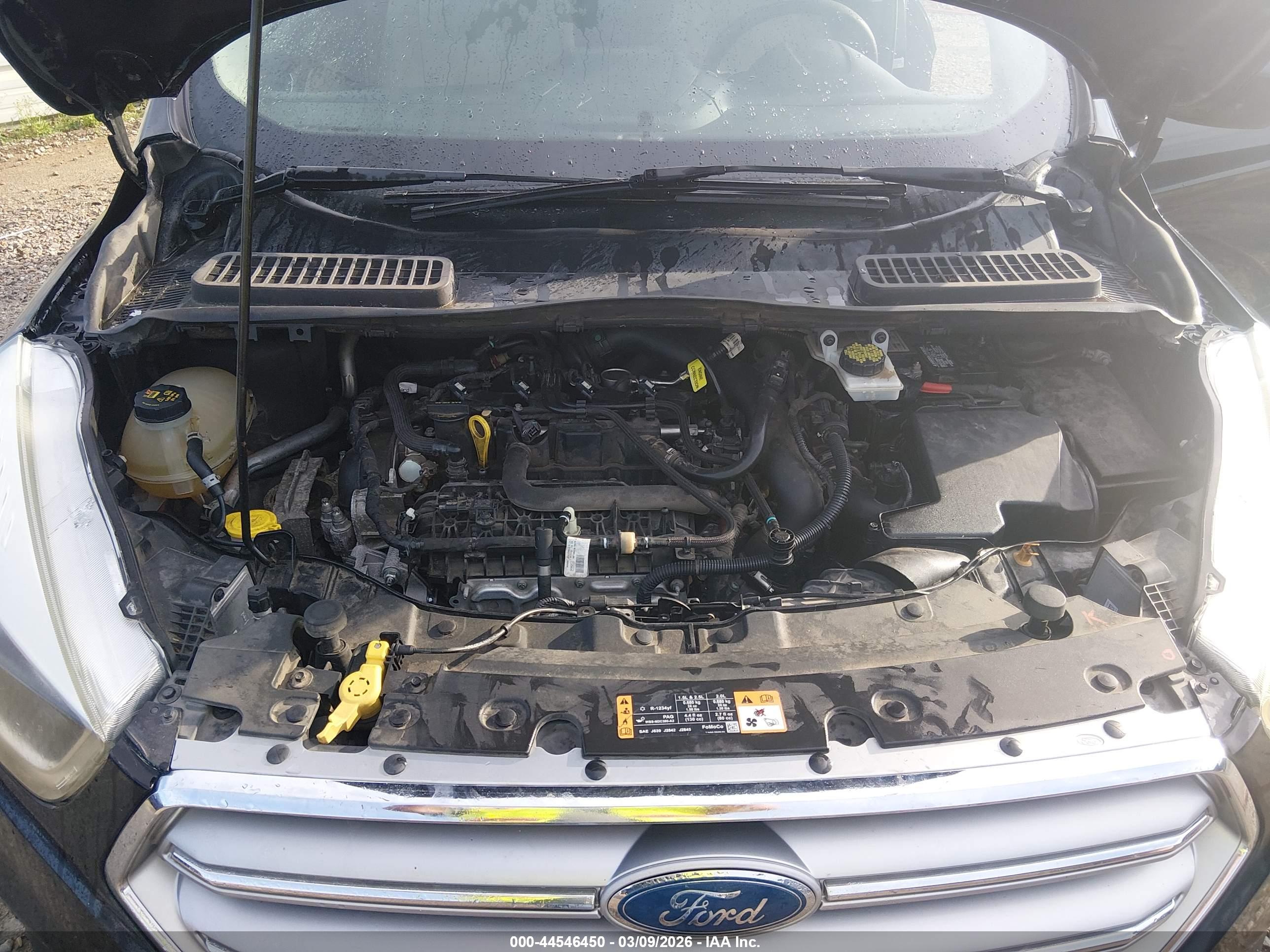 FORD ESCAPE image 10