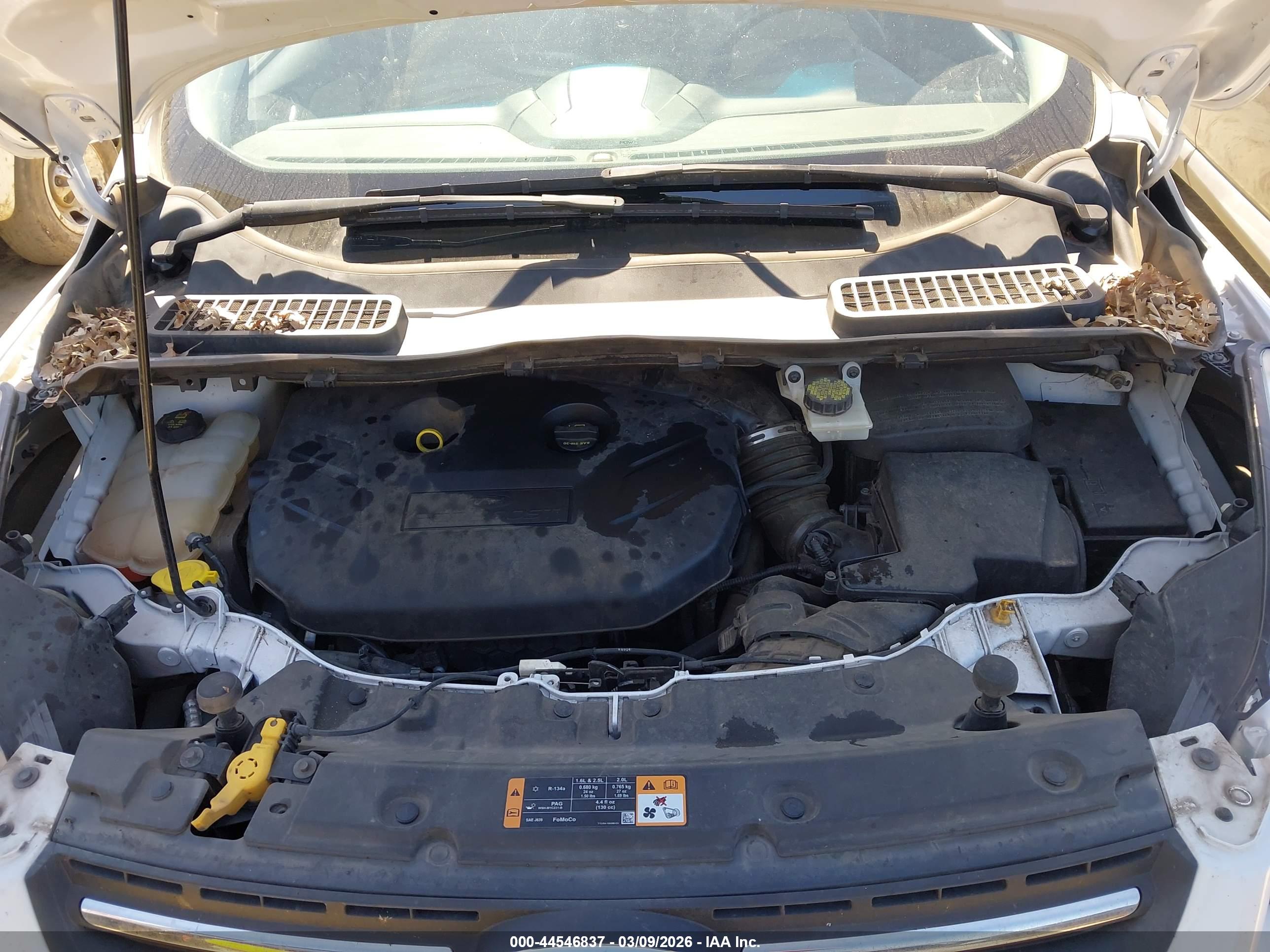 FORD ESCAPE image 10