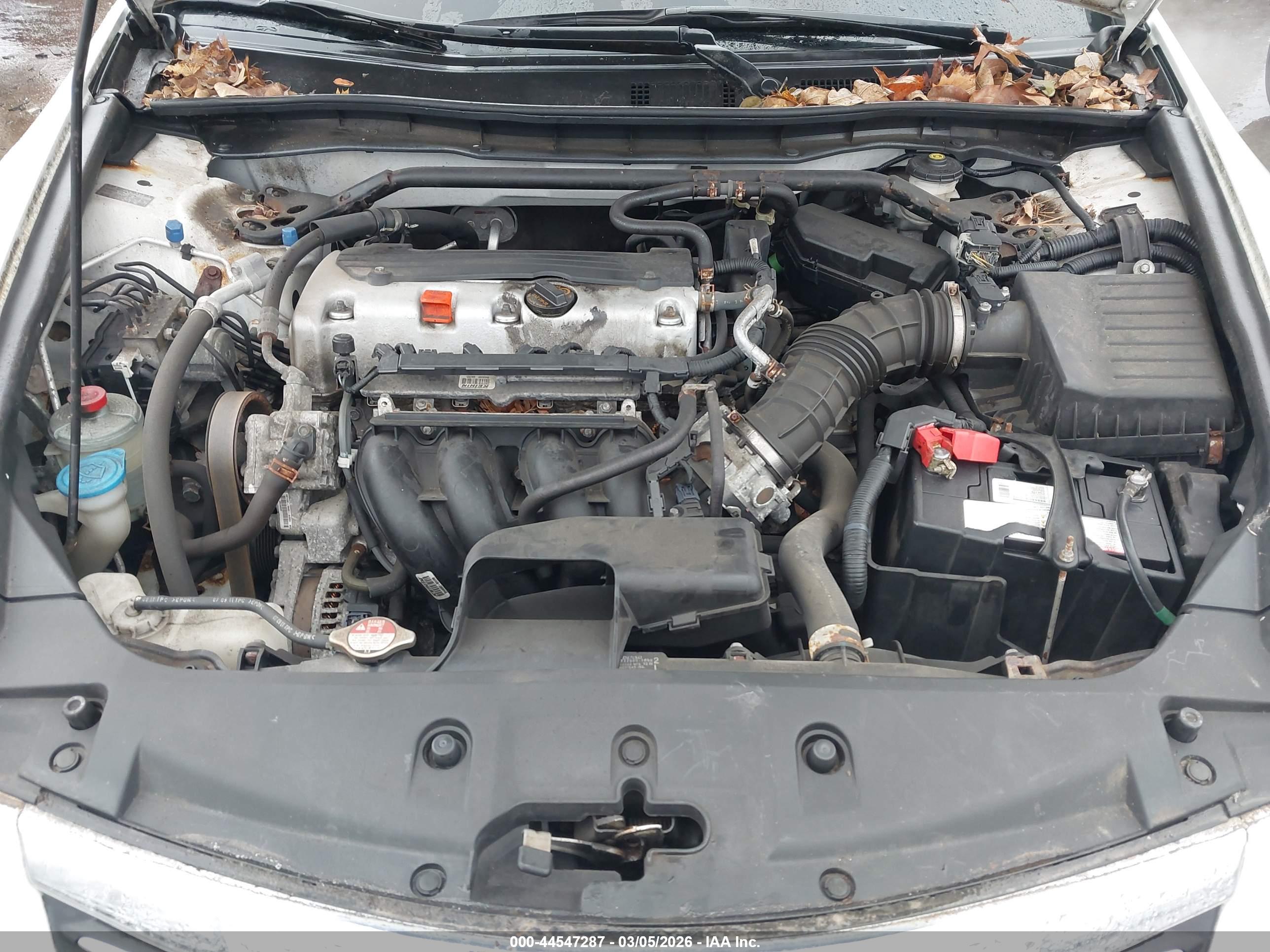HONDA ACCORD image 10