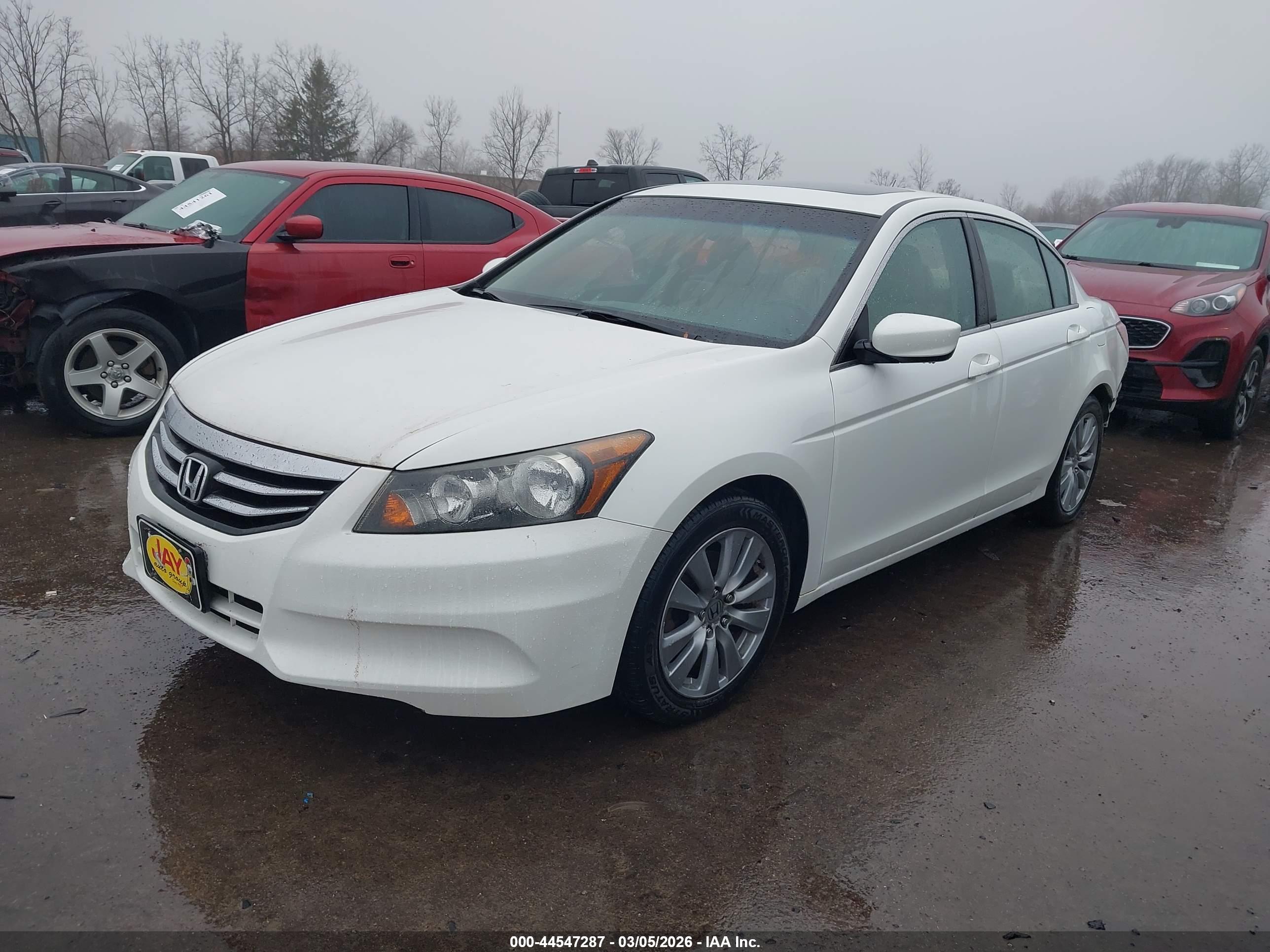 HONDA ACCORD image 2