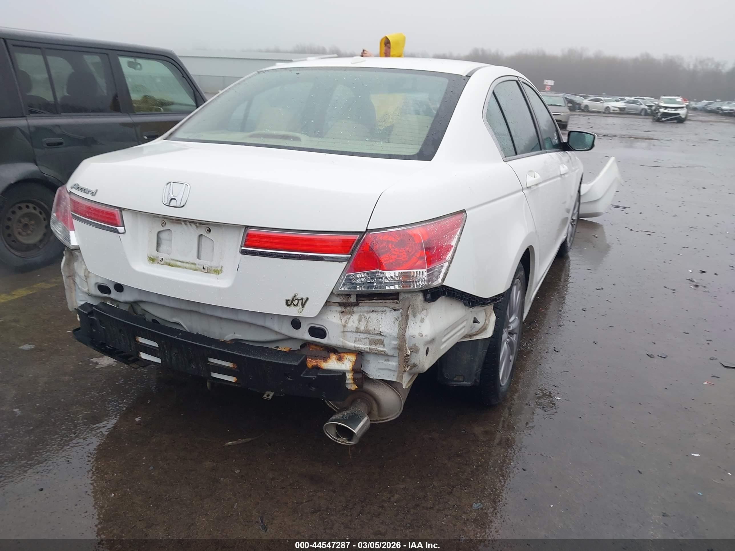 HONDA ACCORD image 4