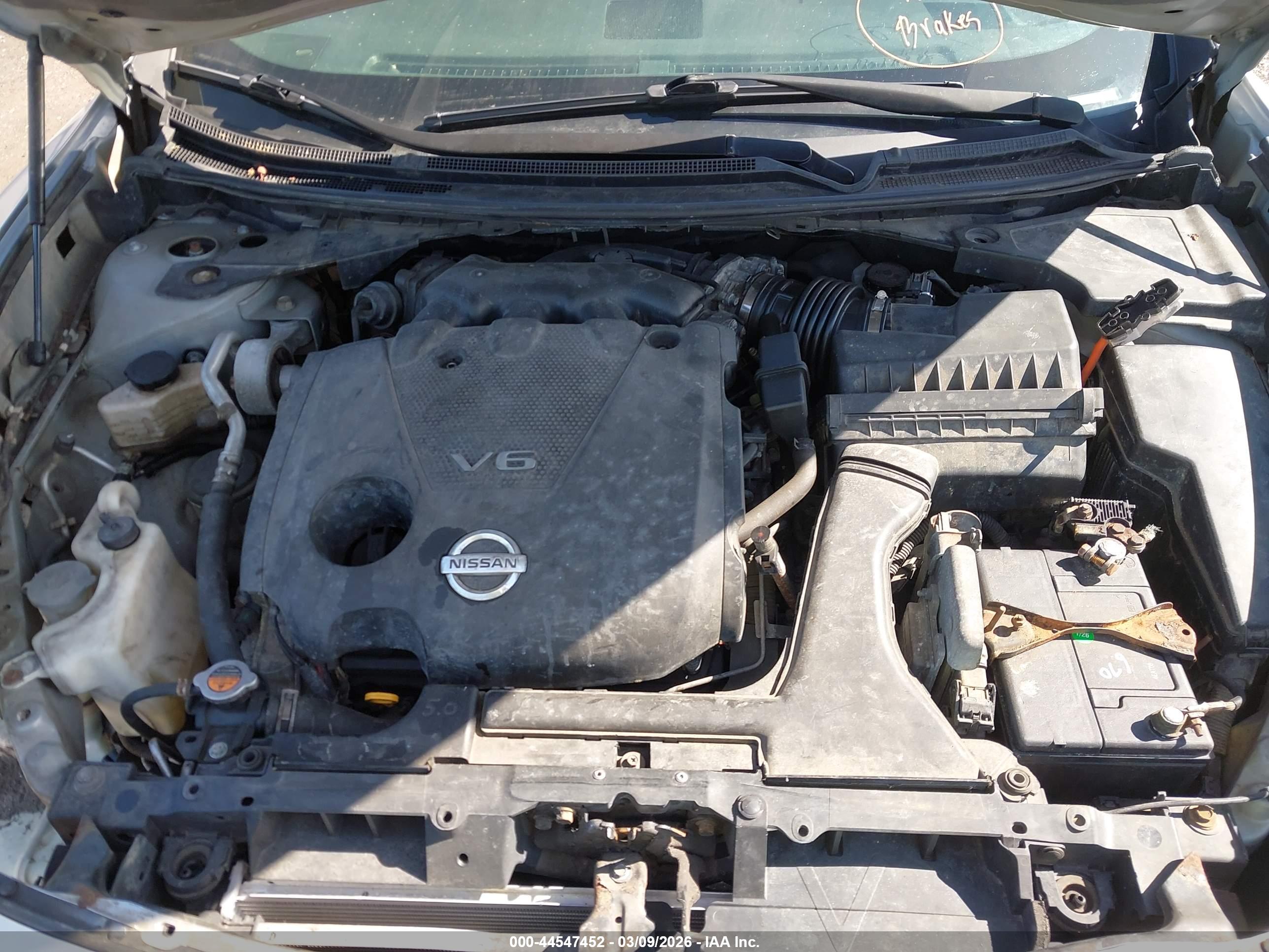 NISSAN MAXIMA image 10
