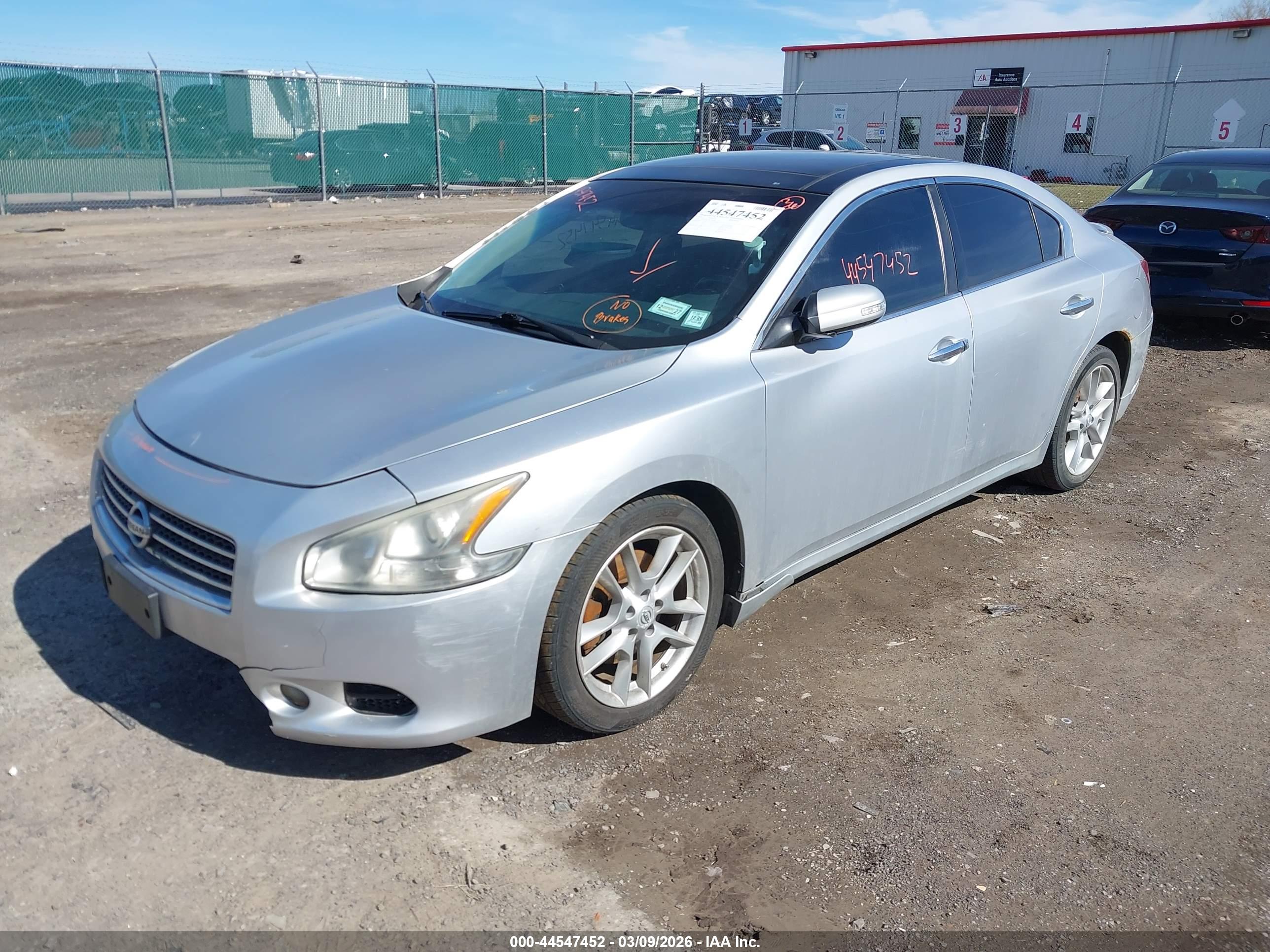 NISSAN MAXIMA image 2