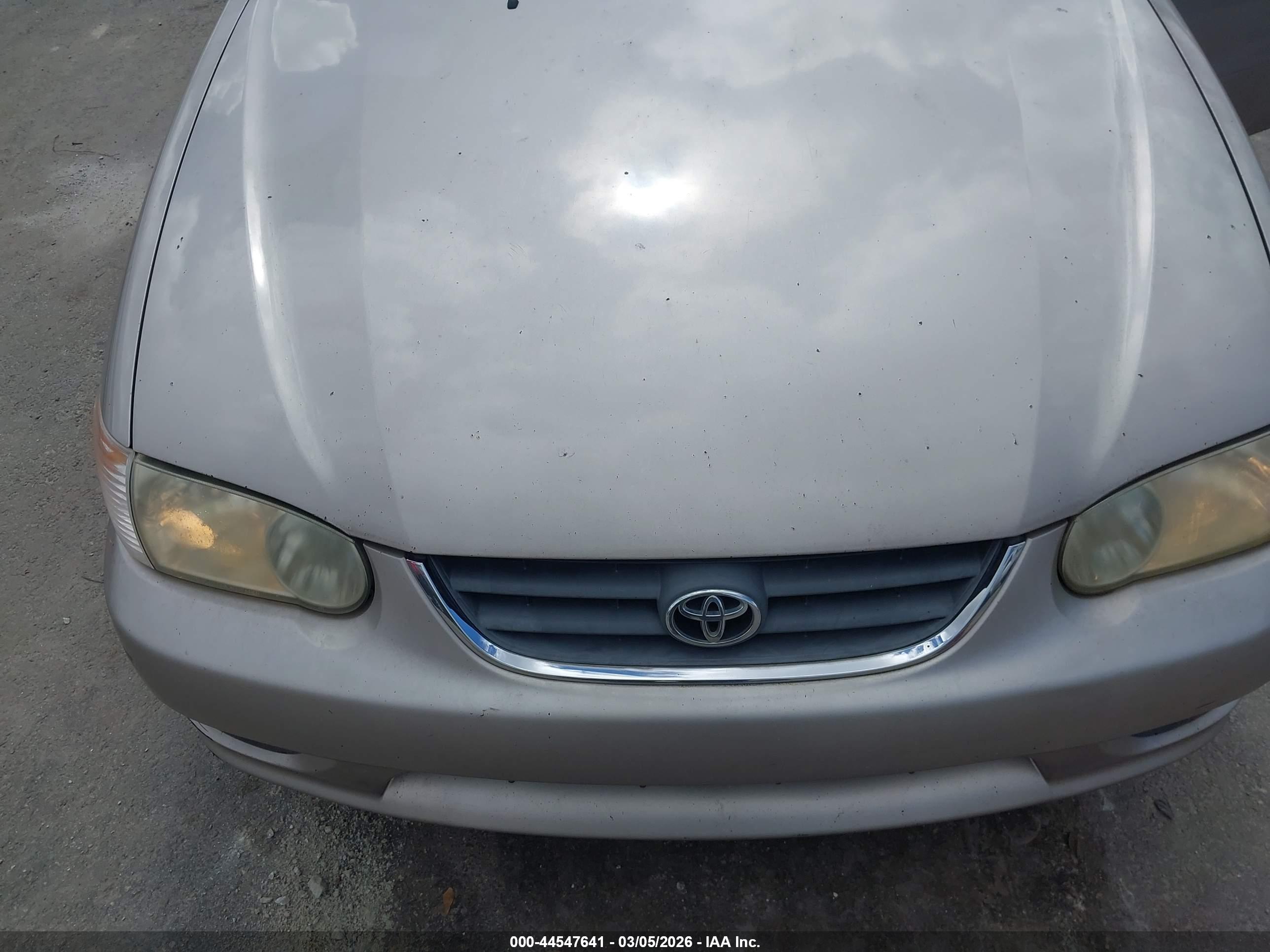 TOYOTA COROLLA image 6