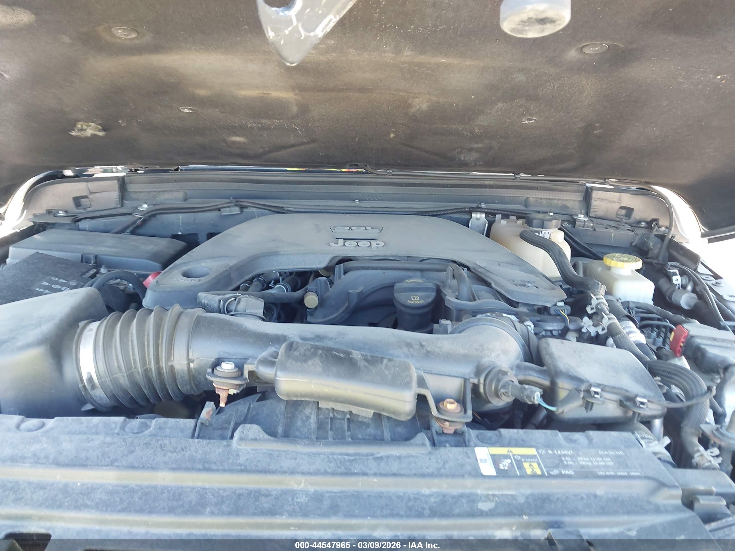 JEEP WRANGLER image 10