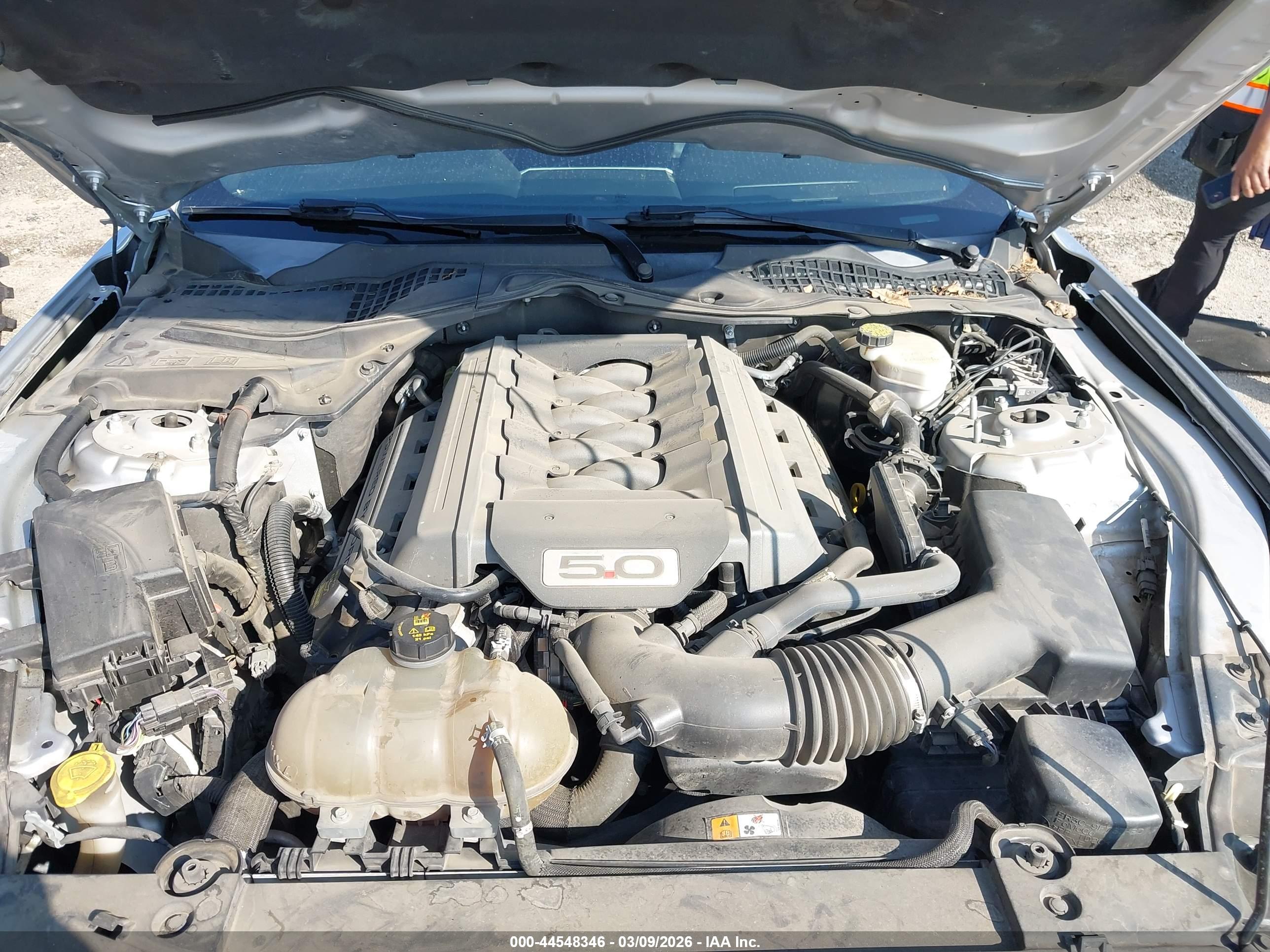 FORD MUSTANG image 10