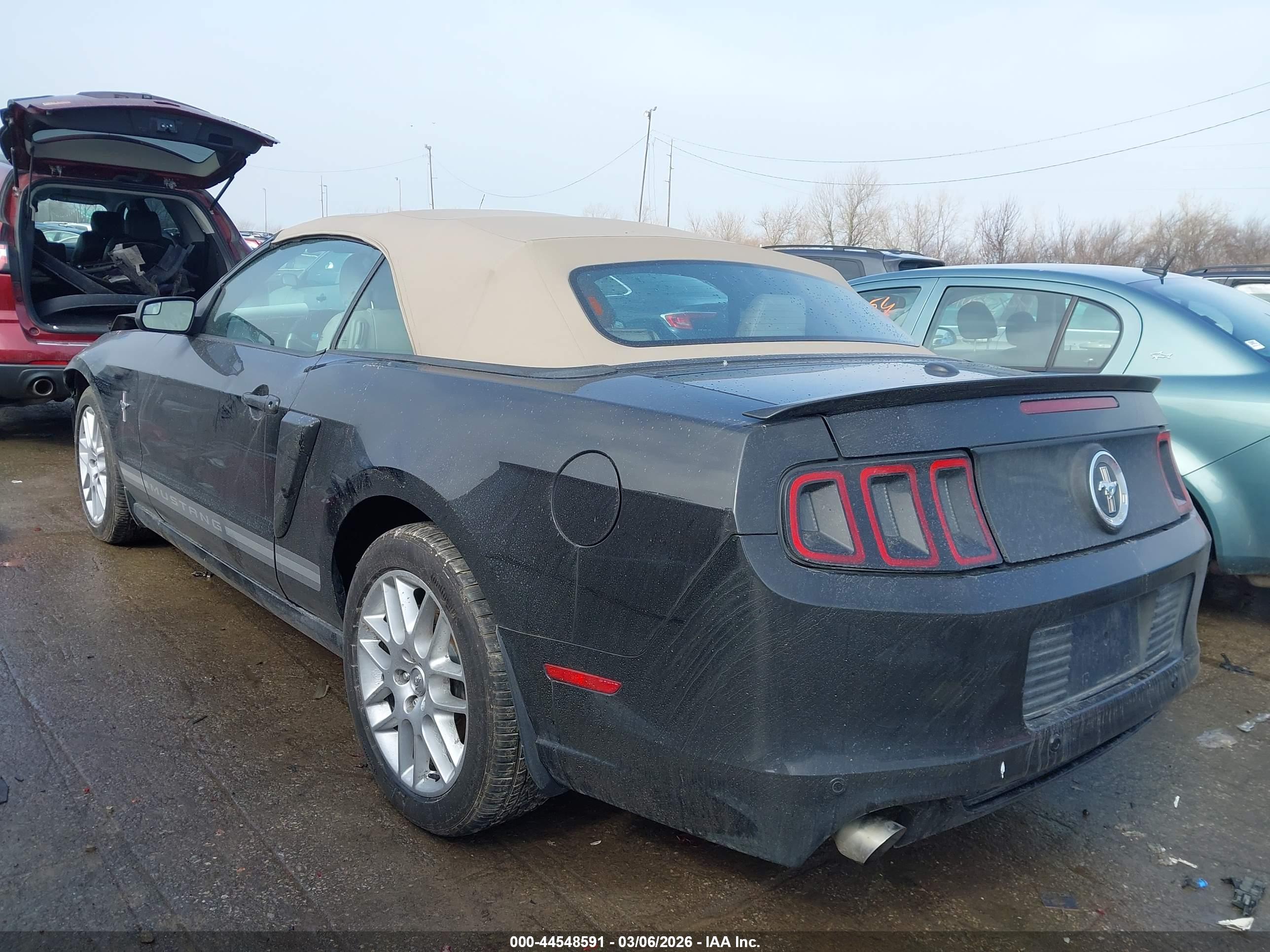 FORD MUSTANG image 3