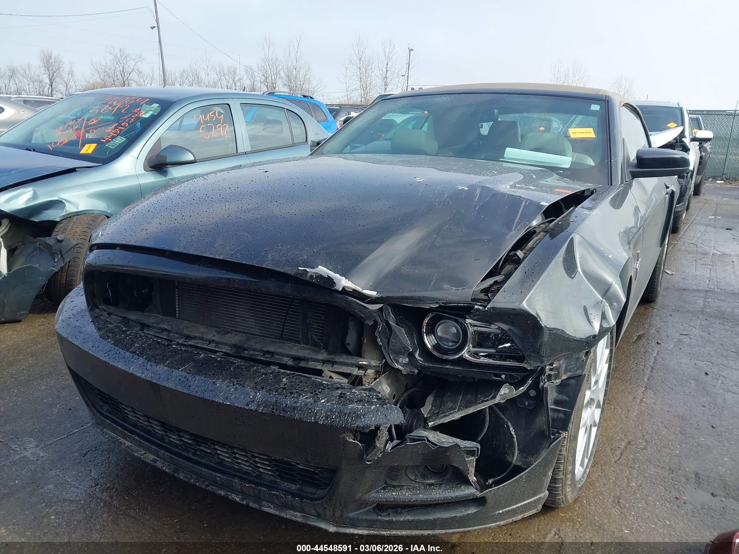 FORD MUSTANG image 6