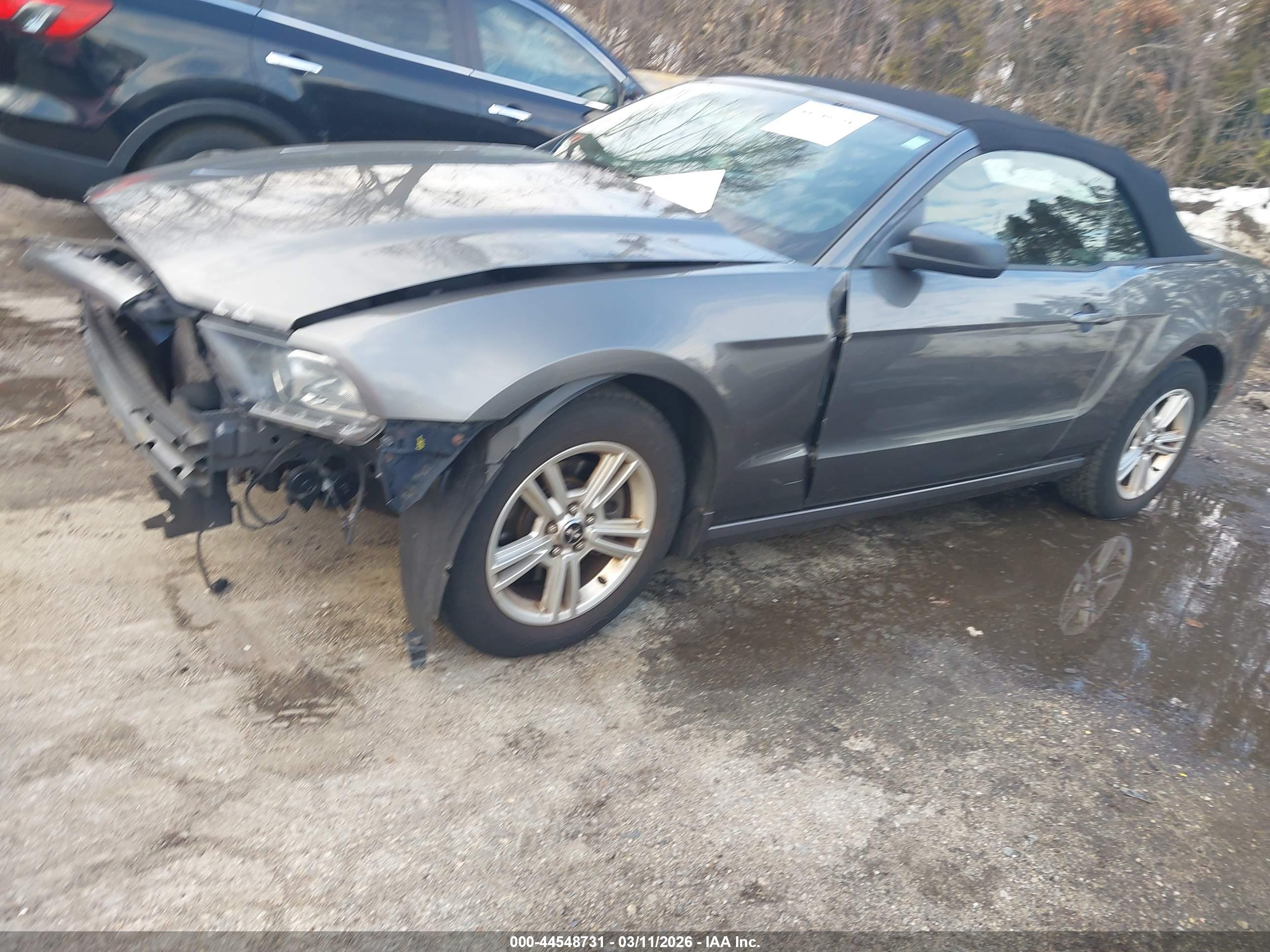 FORD MUSTANG image 2