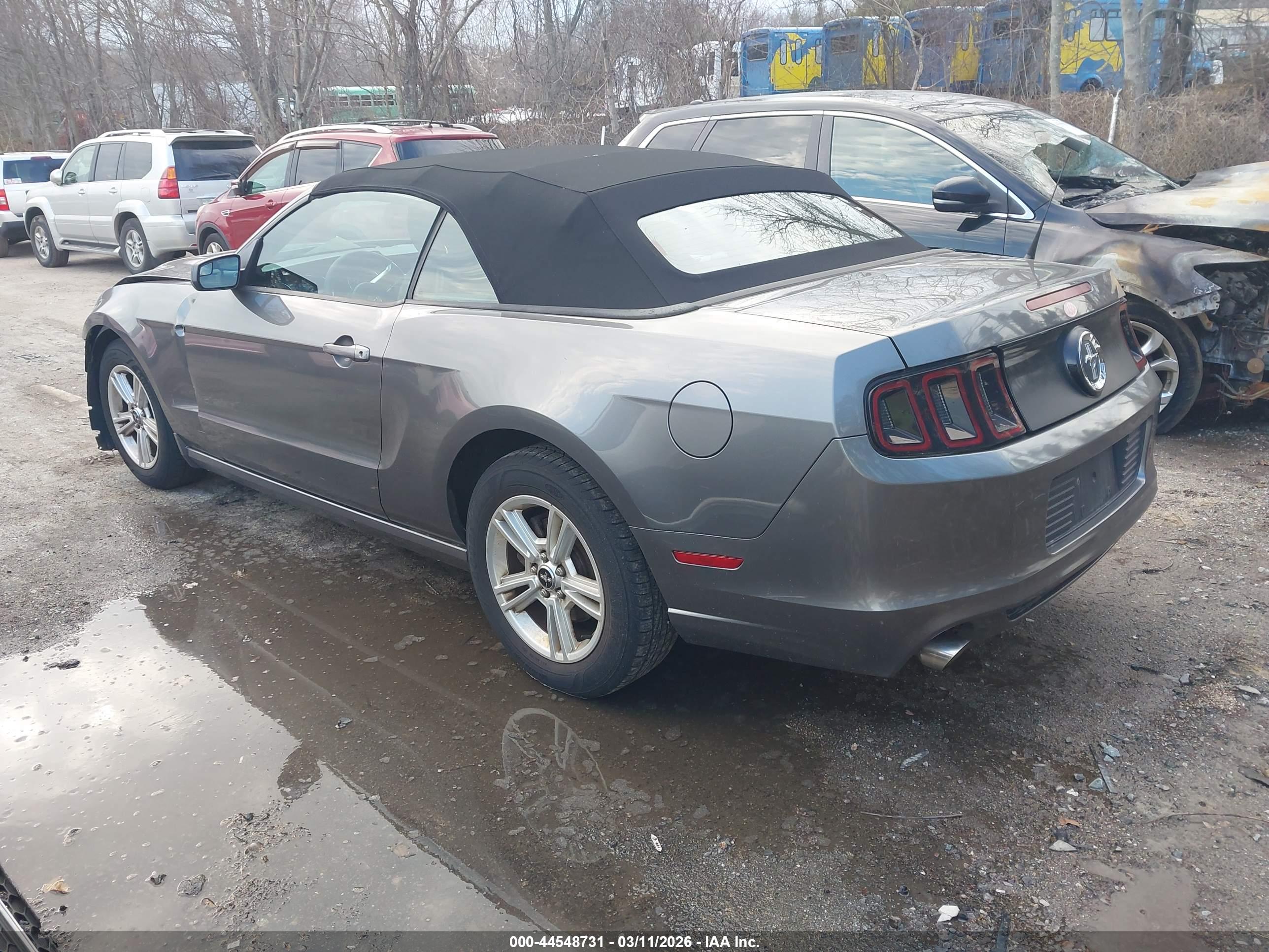 FORD MUSTANG image 3