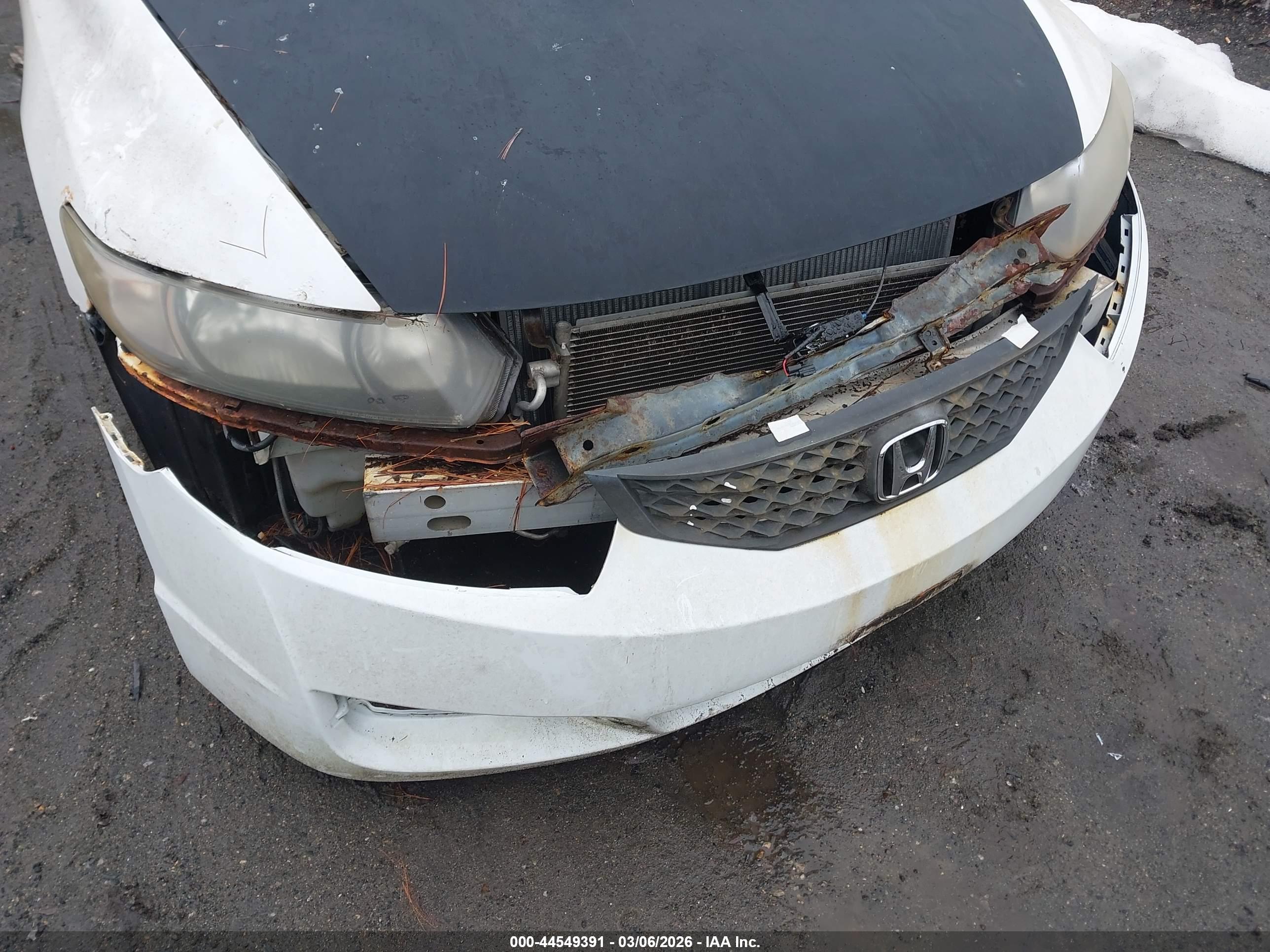 HONDA CIVIC image 6